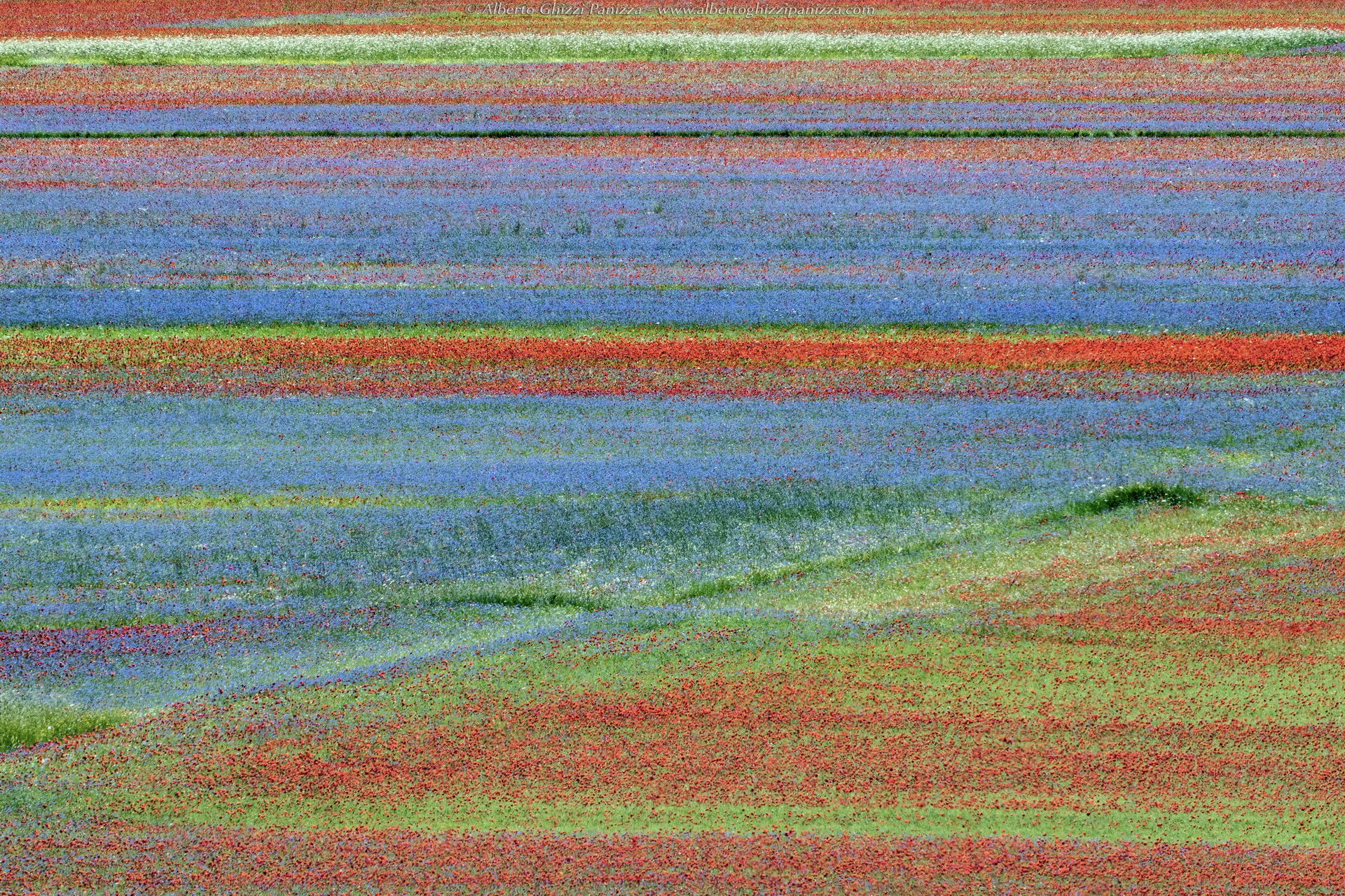 I colori di Castelluccio #1