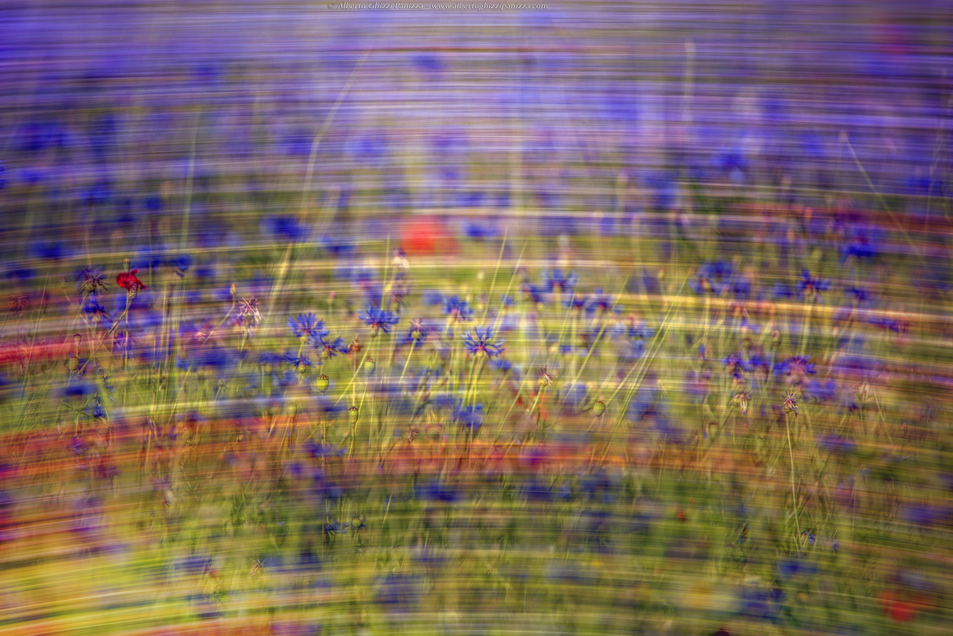 I colori di Castelluccio #3