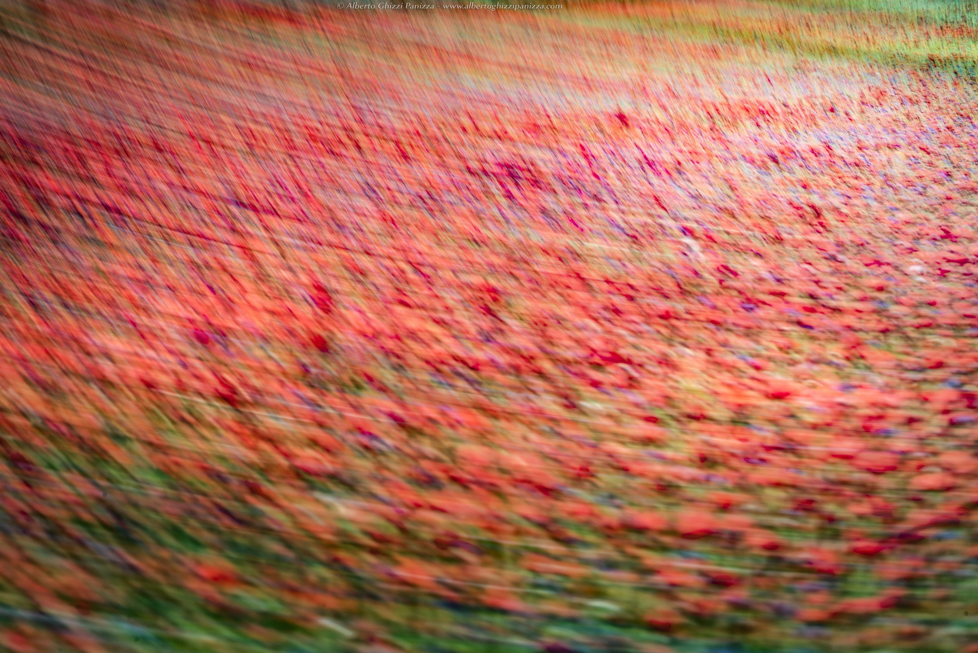 I colori di Castelluccio #4