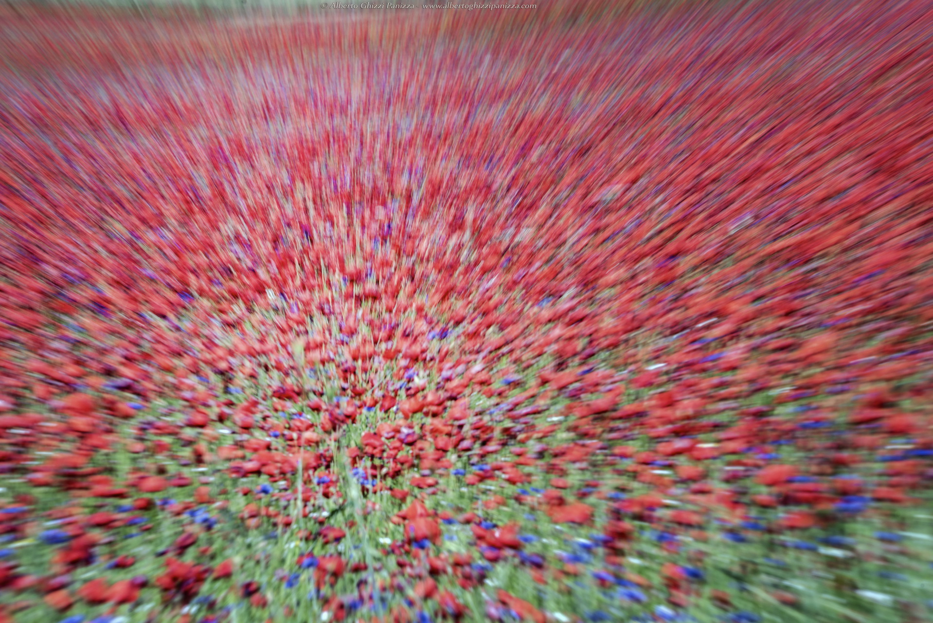 I colori di Castelluccio #6