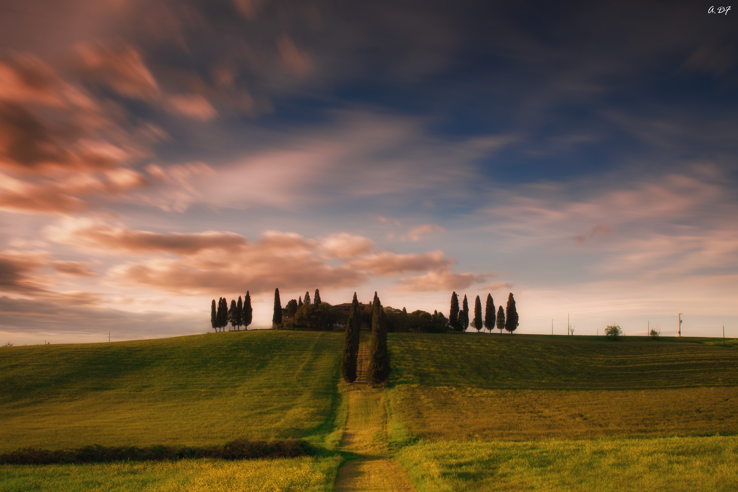 Sunset on Cypress Avenue