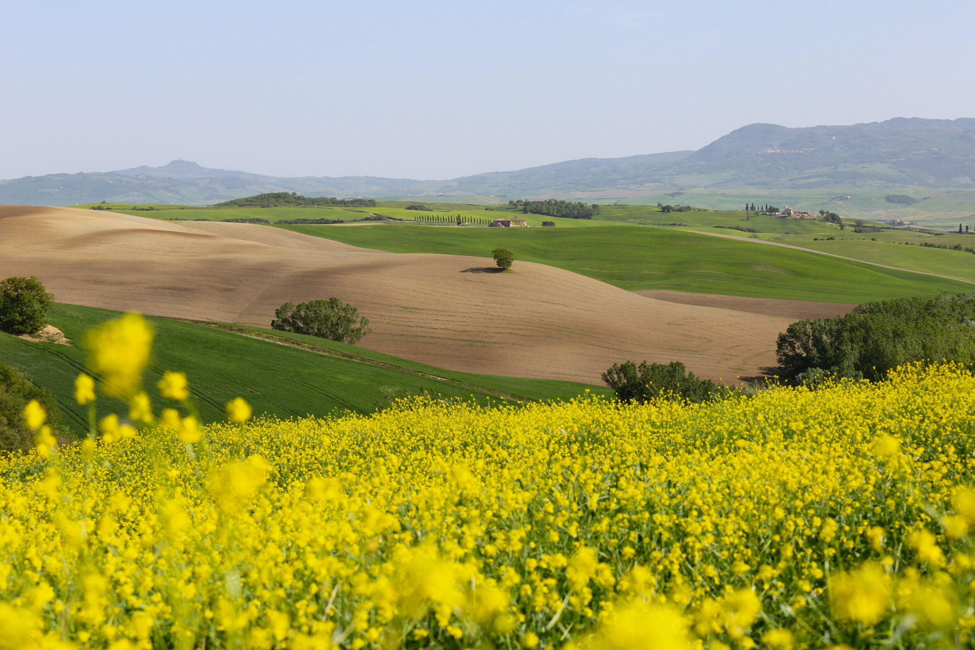 Glimpse of the val d'Orcia