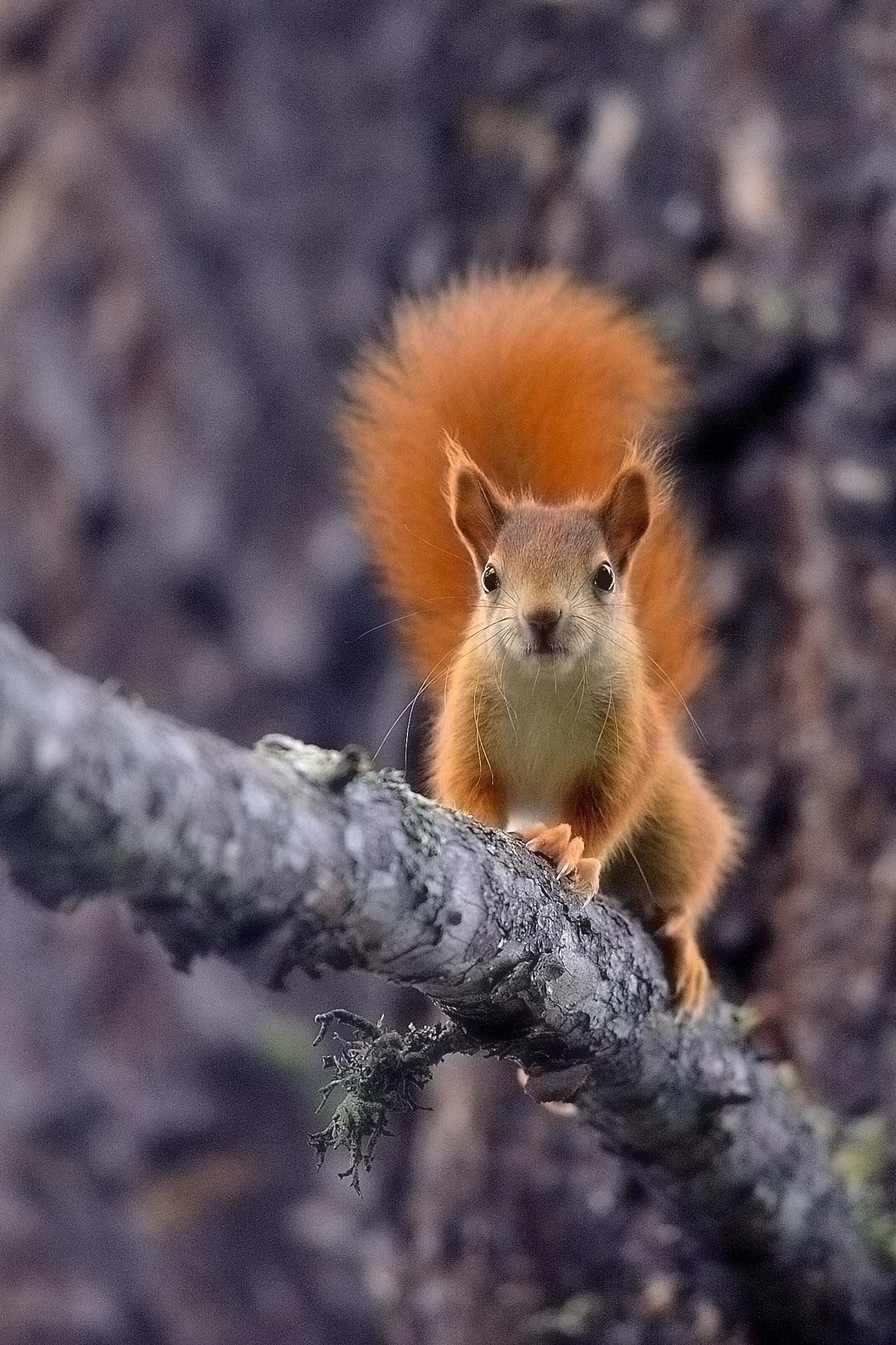 e muoviti con sta foto