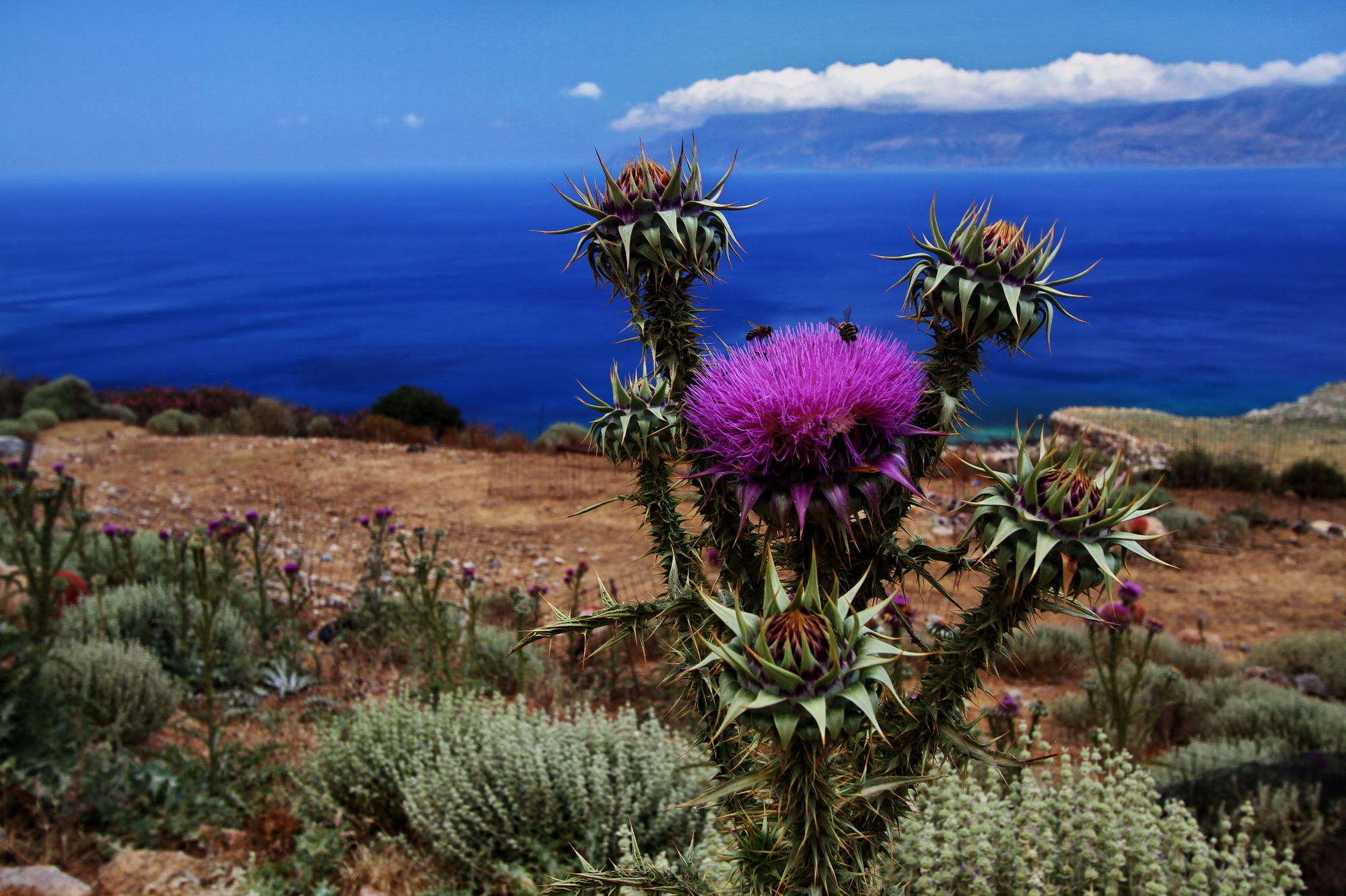 sulla strada di Balos
