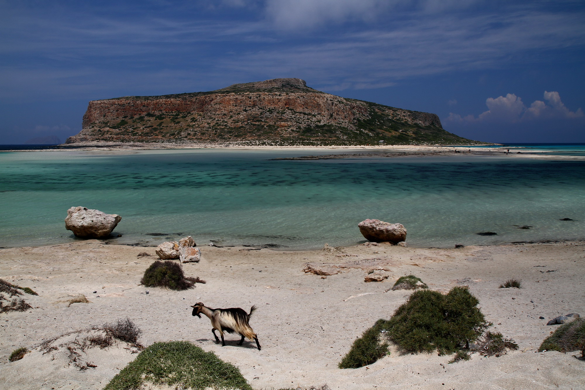 presenze in spiaggia