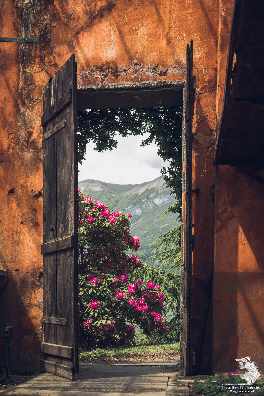 Il Paradiso.... è appena lì fuori.