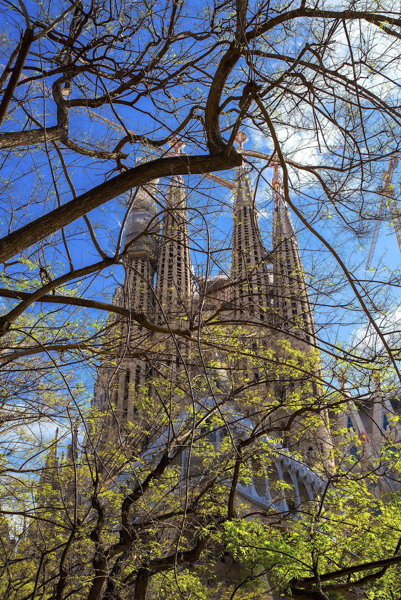 la Sagrada Familia