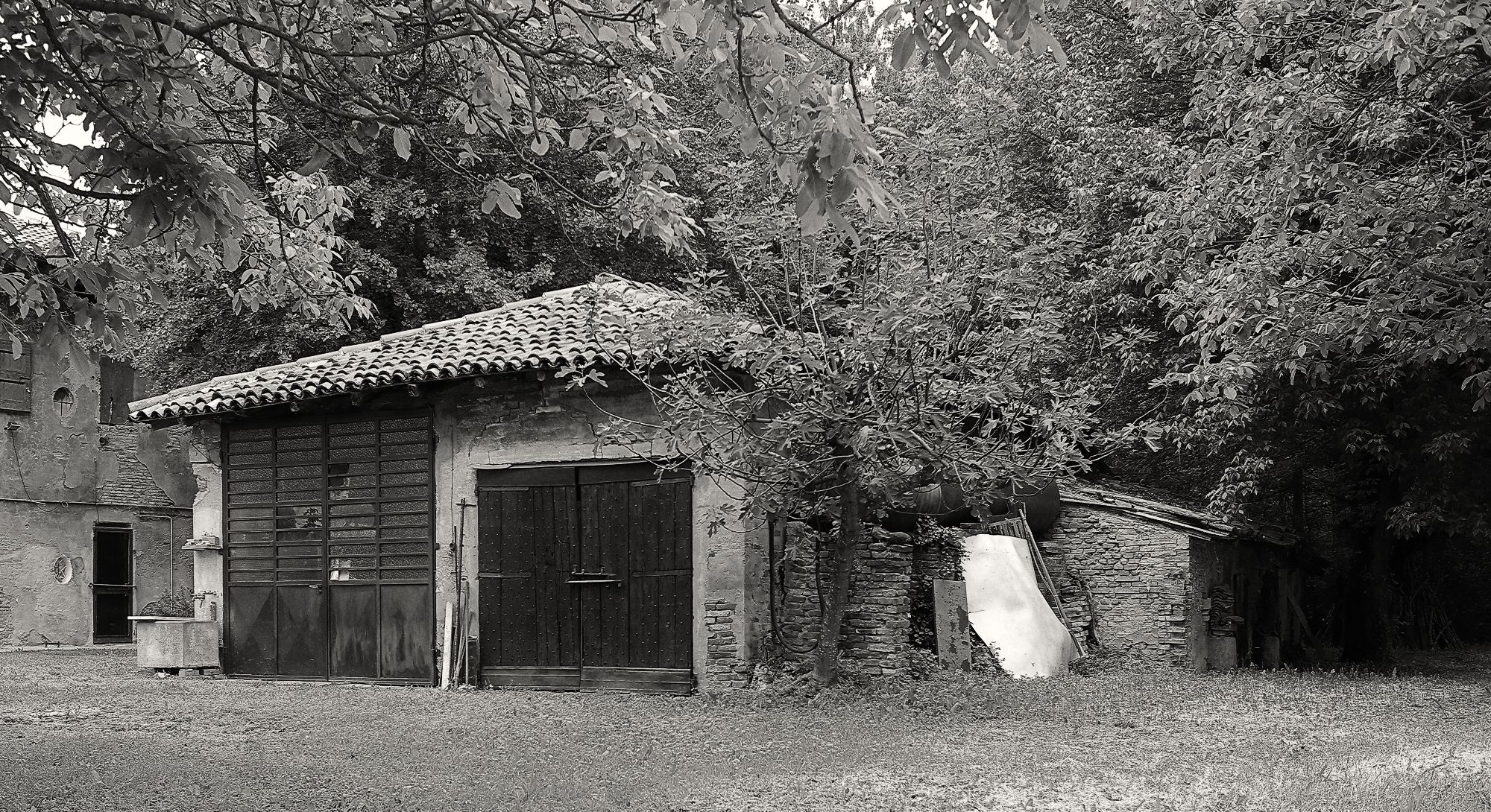 Magazzino agricolo (quasi) nel bosco...