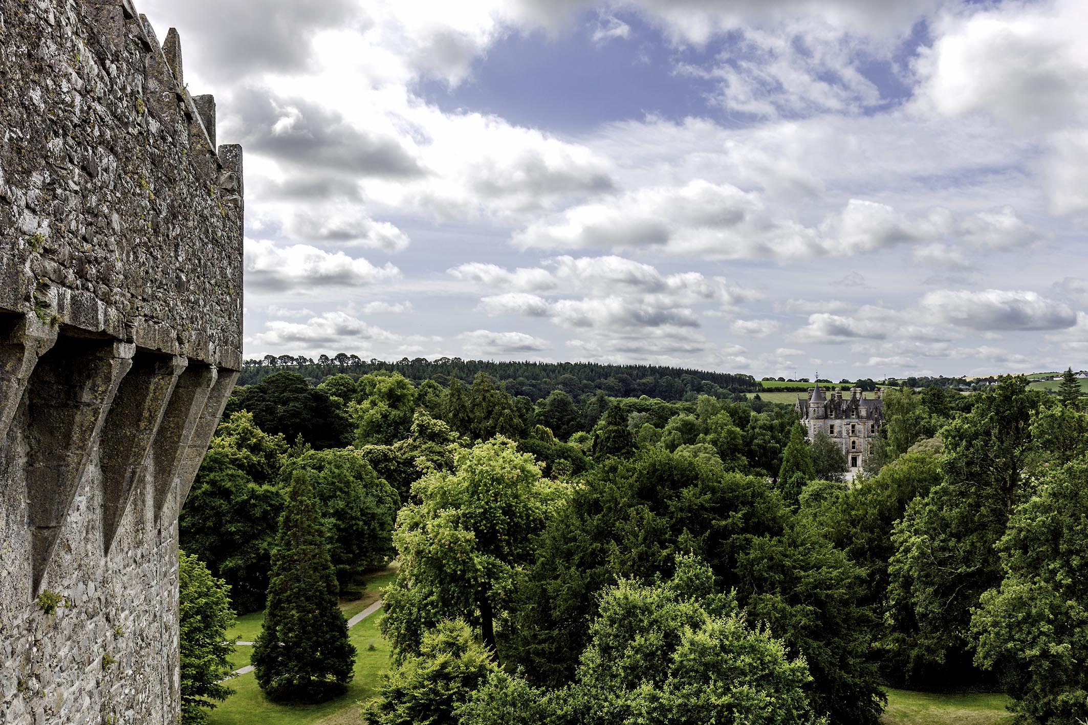 Irlanda - Vista dal castello di Blarney
