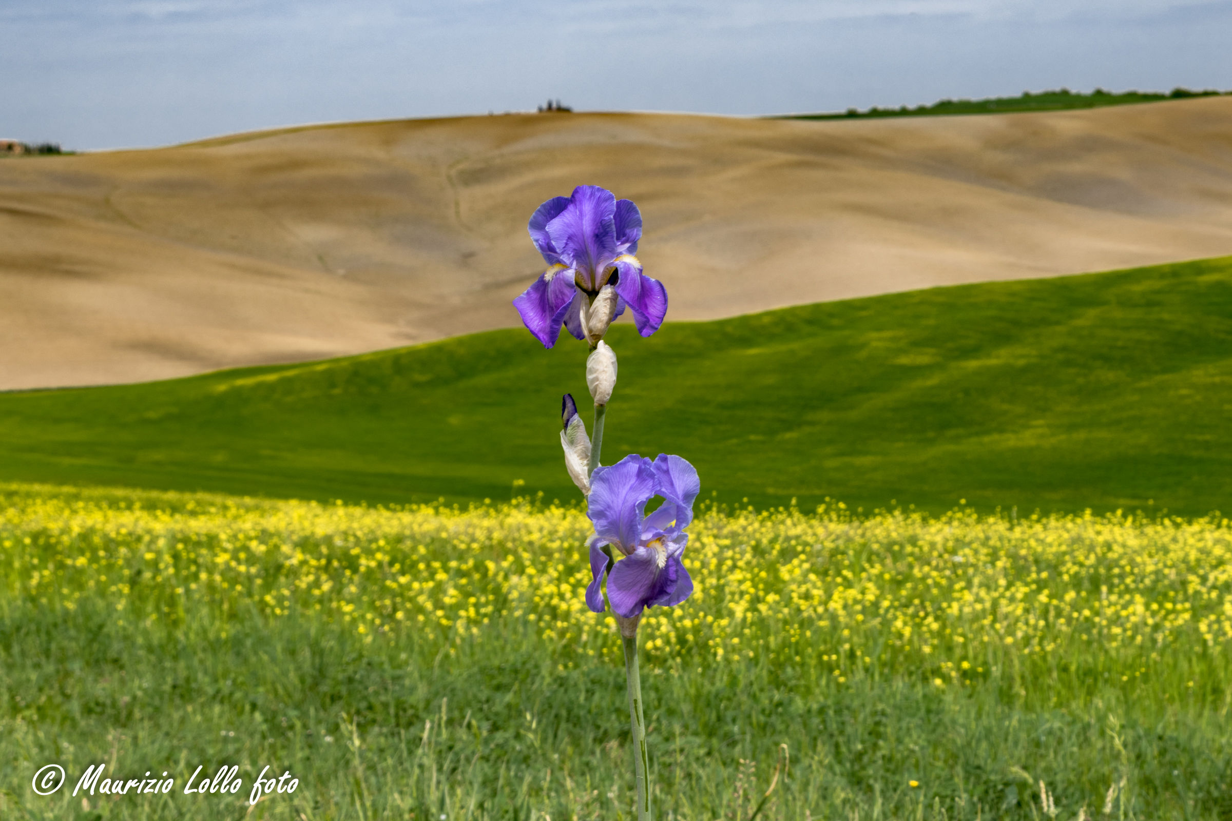 Colori della Val D'Orcia