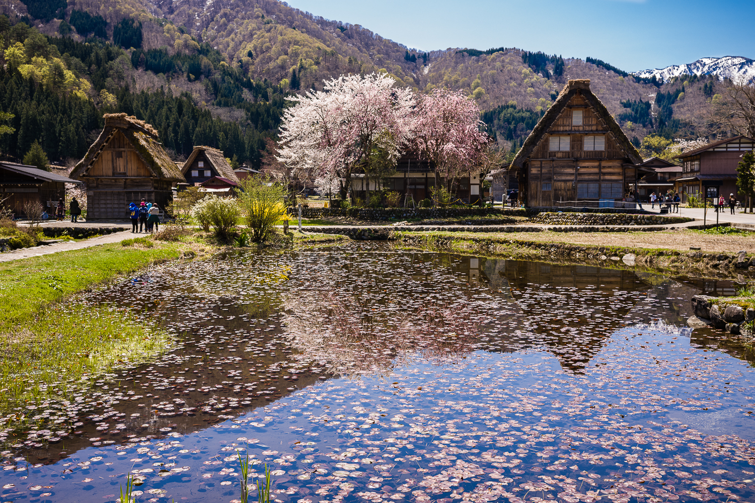 Shirakawago village, Japan
