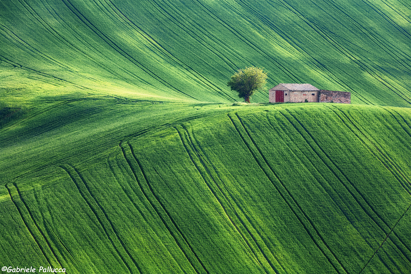 The rolling hills of the marches