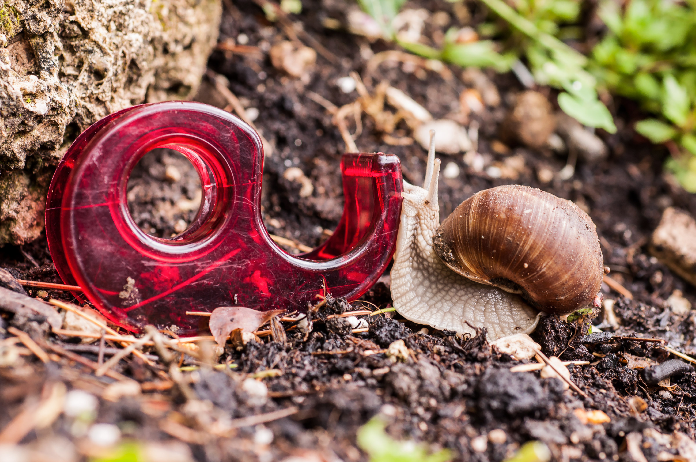 Incontri ravvicinati del terzo tipo