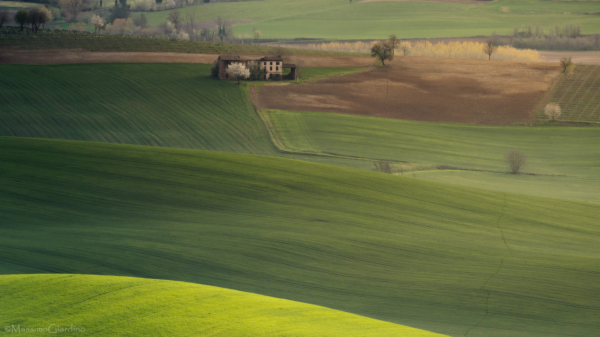 Painting with nature