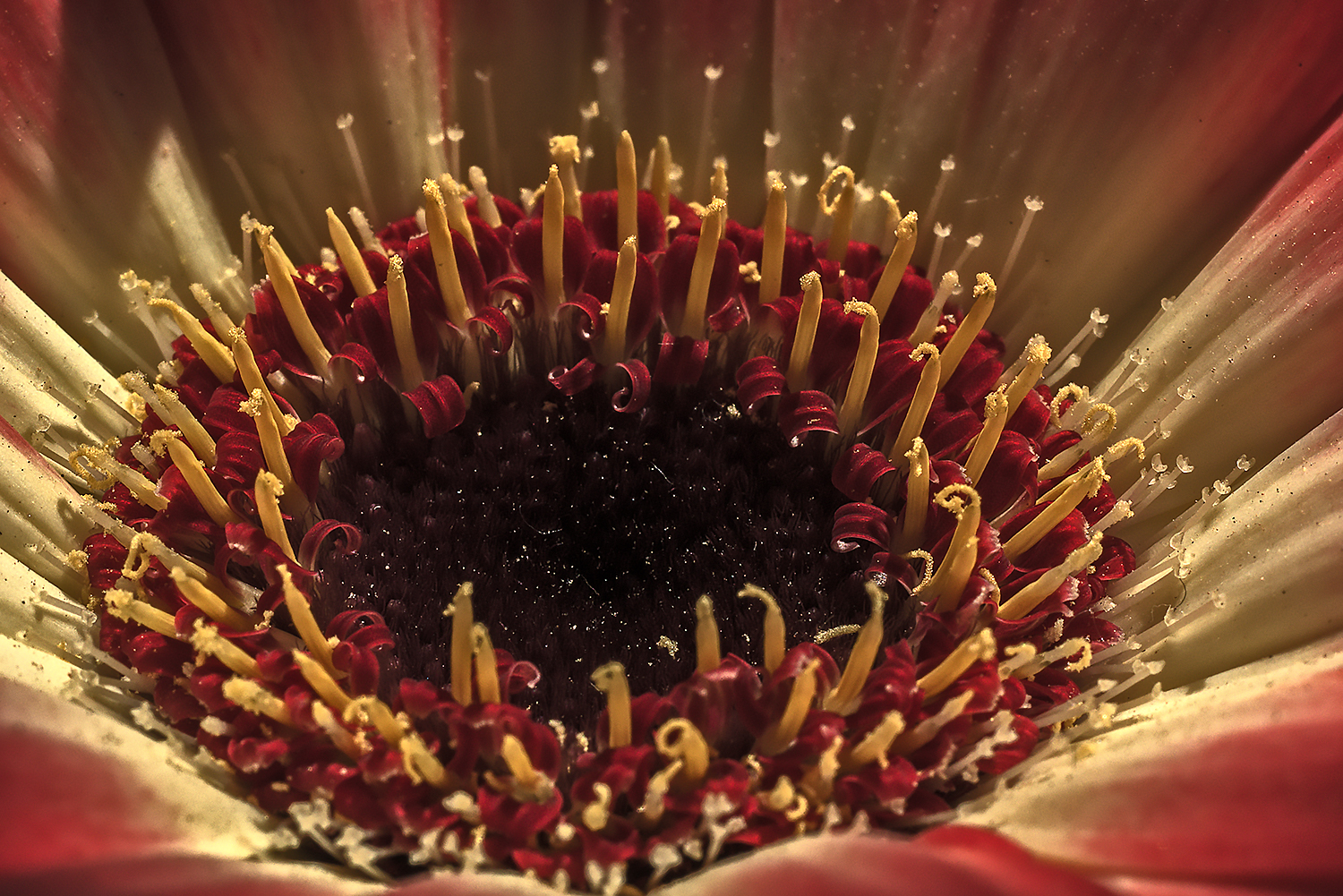 Candeline sulla torta ..