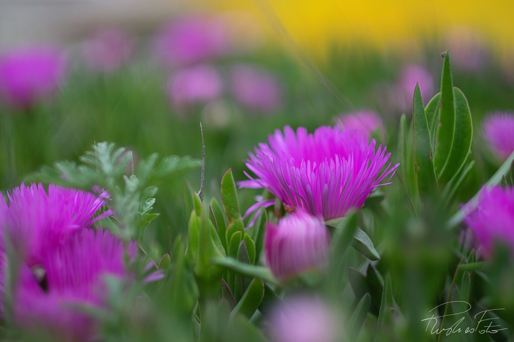 A palette of colors...