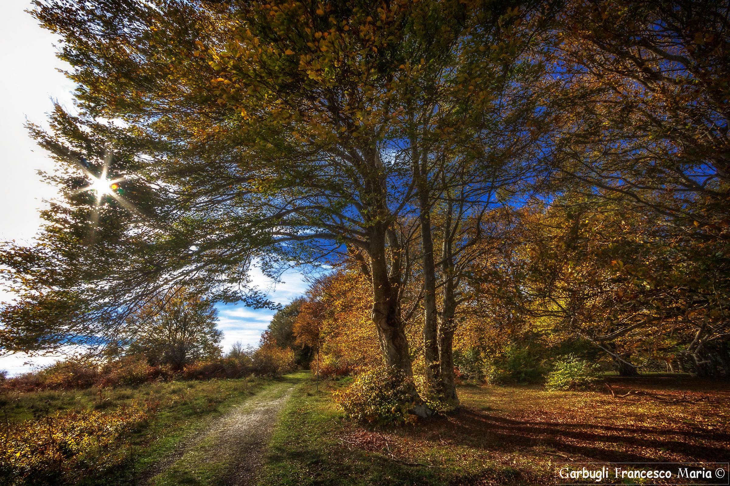 Canfaito in controluce