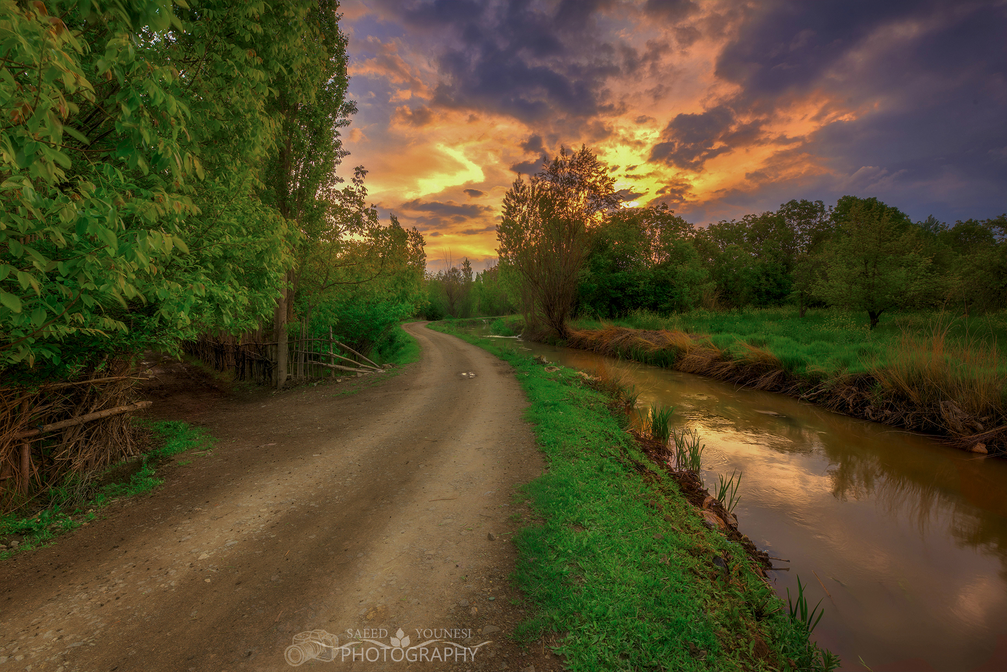 spettacolo primaverile