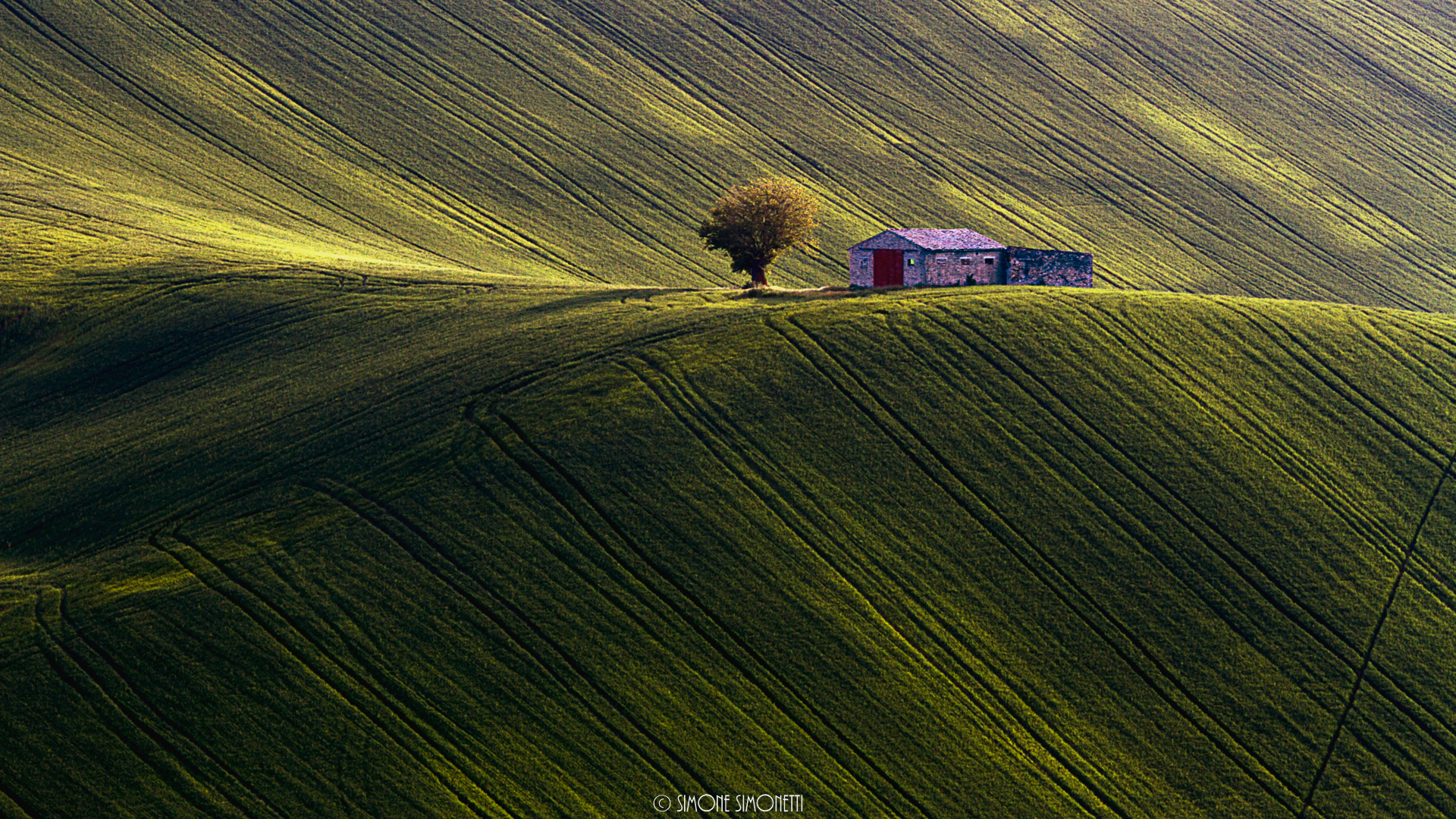 The usual remittance