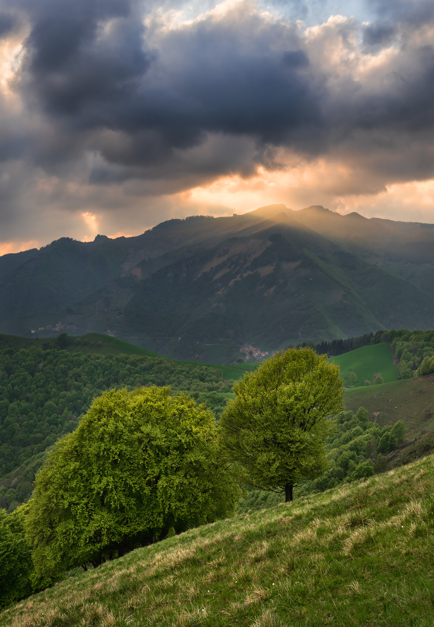Alpe Balasubramanian