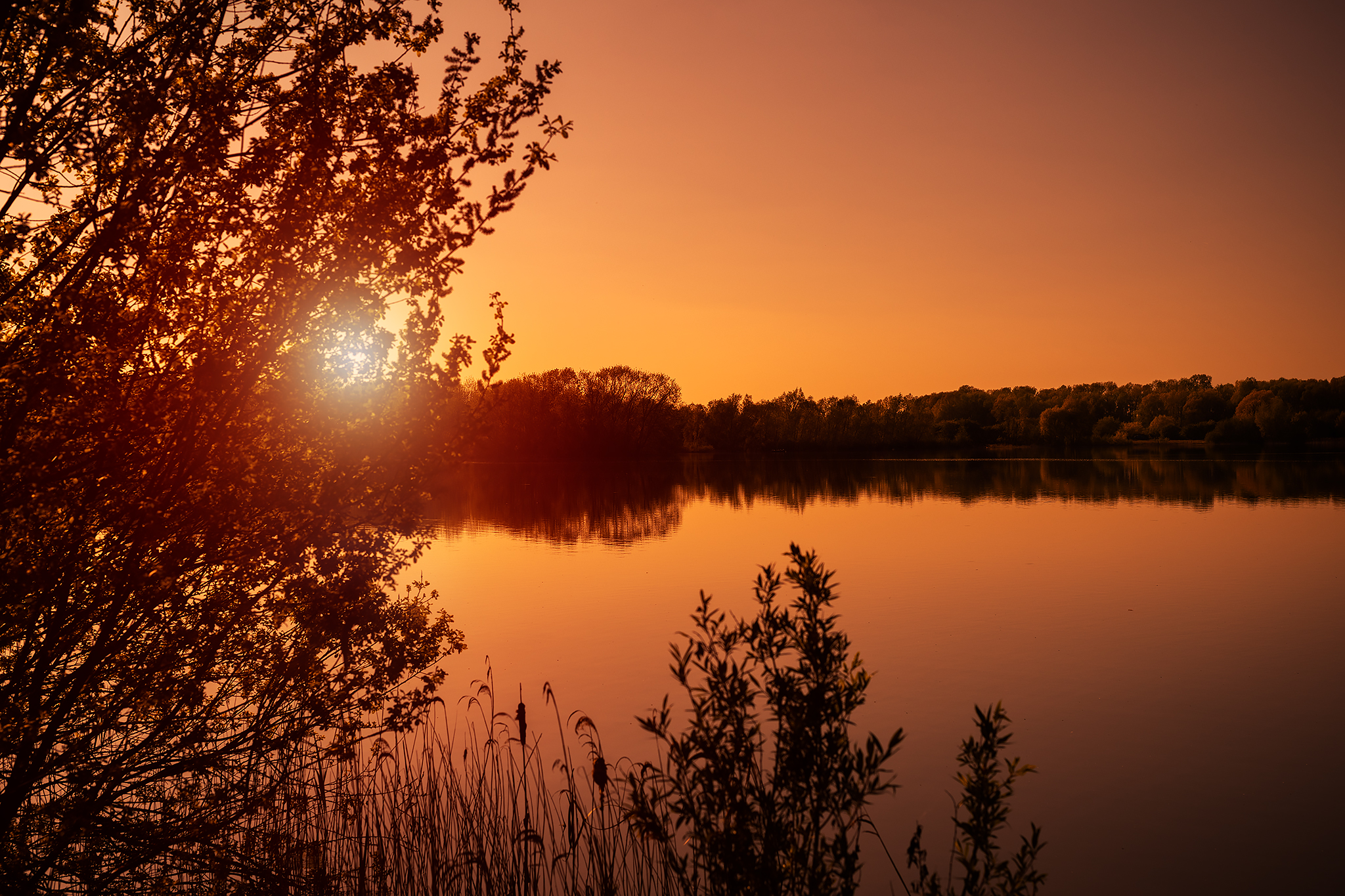 Ride Off Into The Sunset