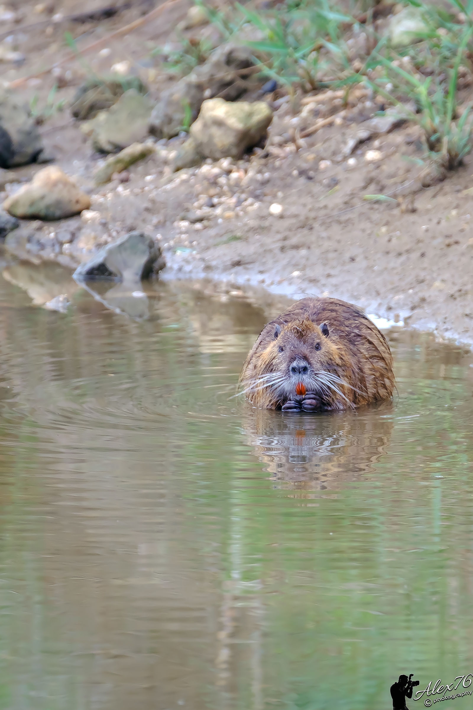 Hey tu... fatti sotto!!!!!