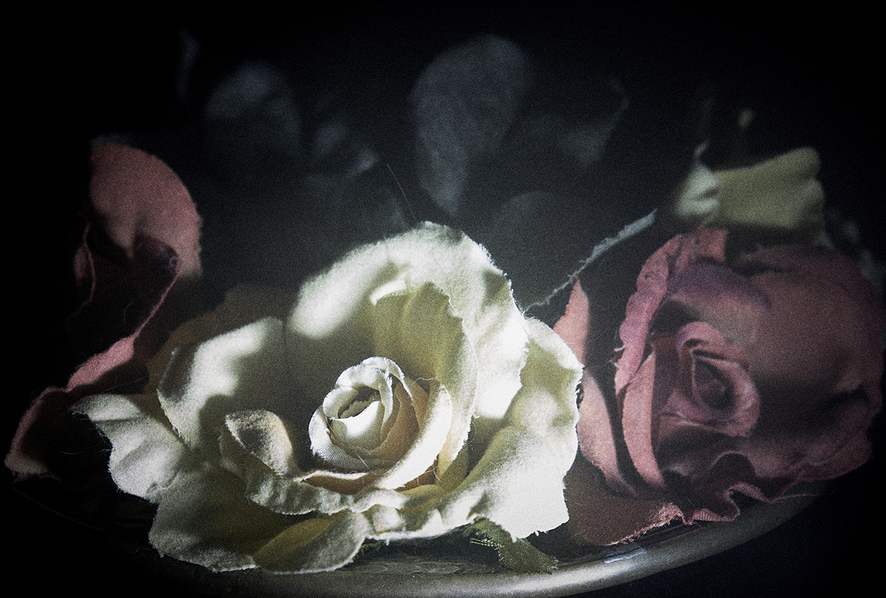 Light Painting Still Life