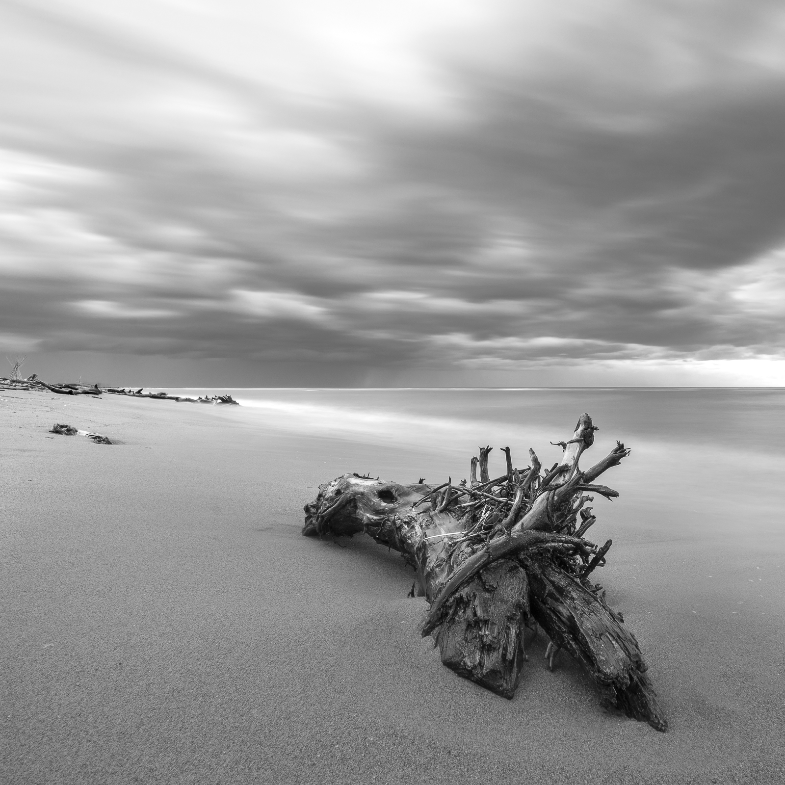 A farewell of winter