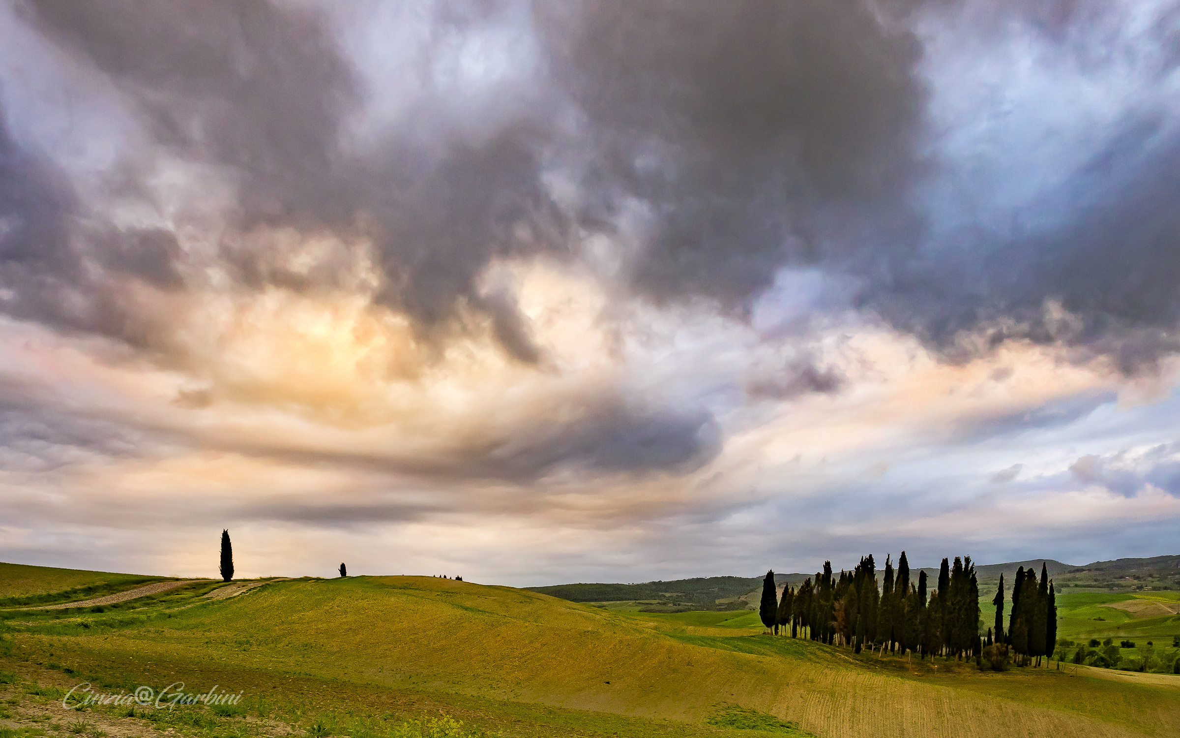 Sunrise on Cypress Trees