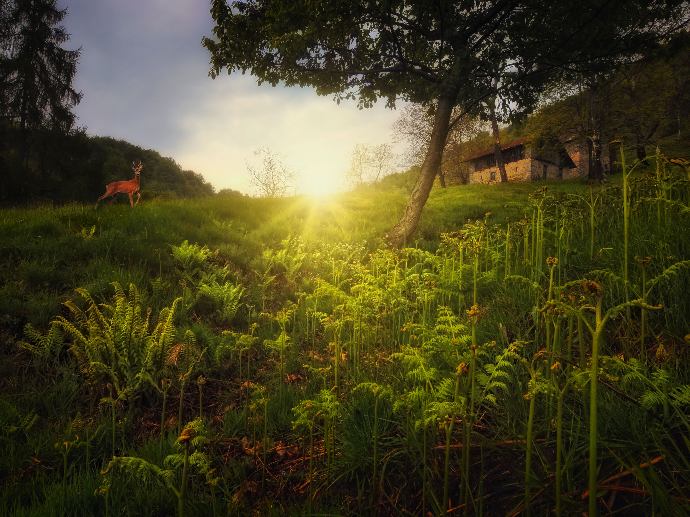 Una sorpresa in controluce