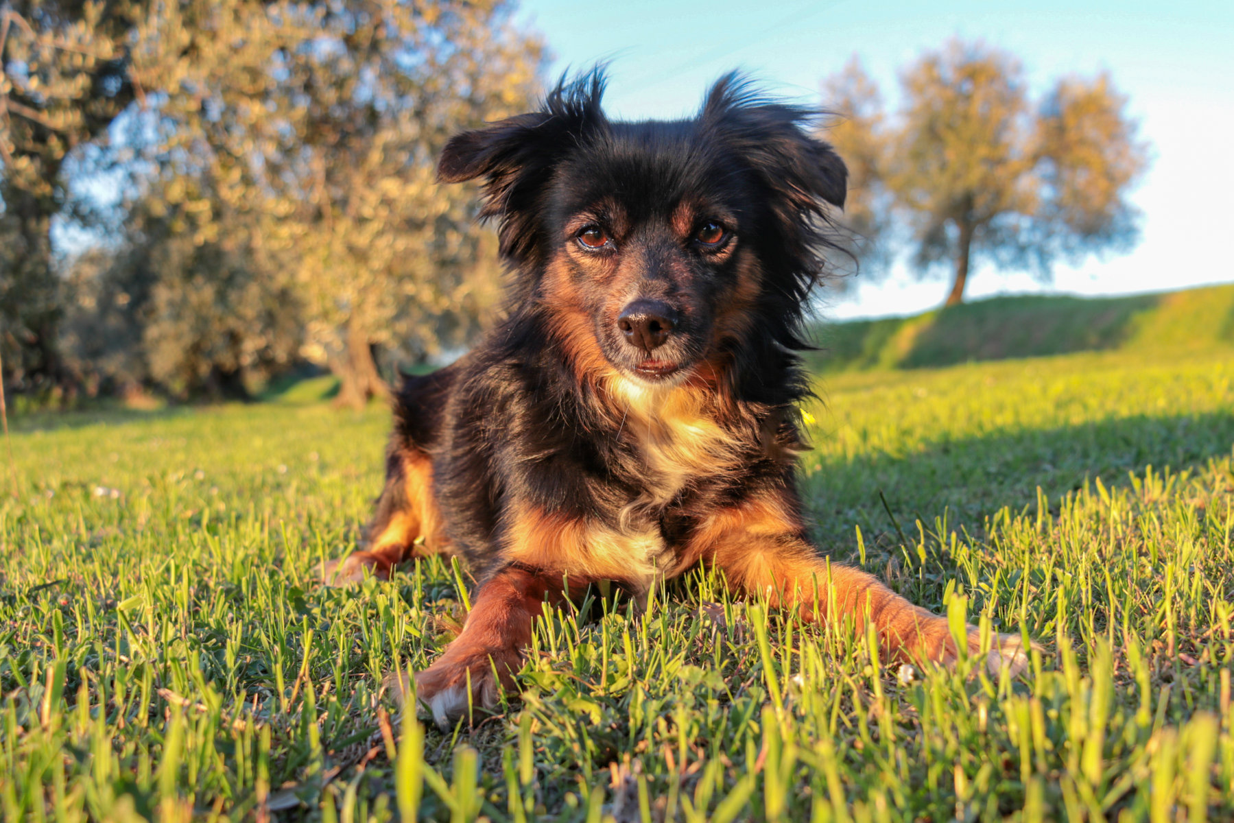 Maggie, finalmente s'è messa in posa!