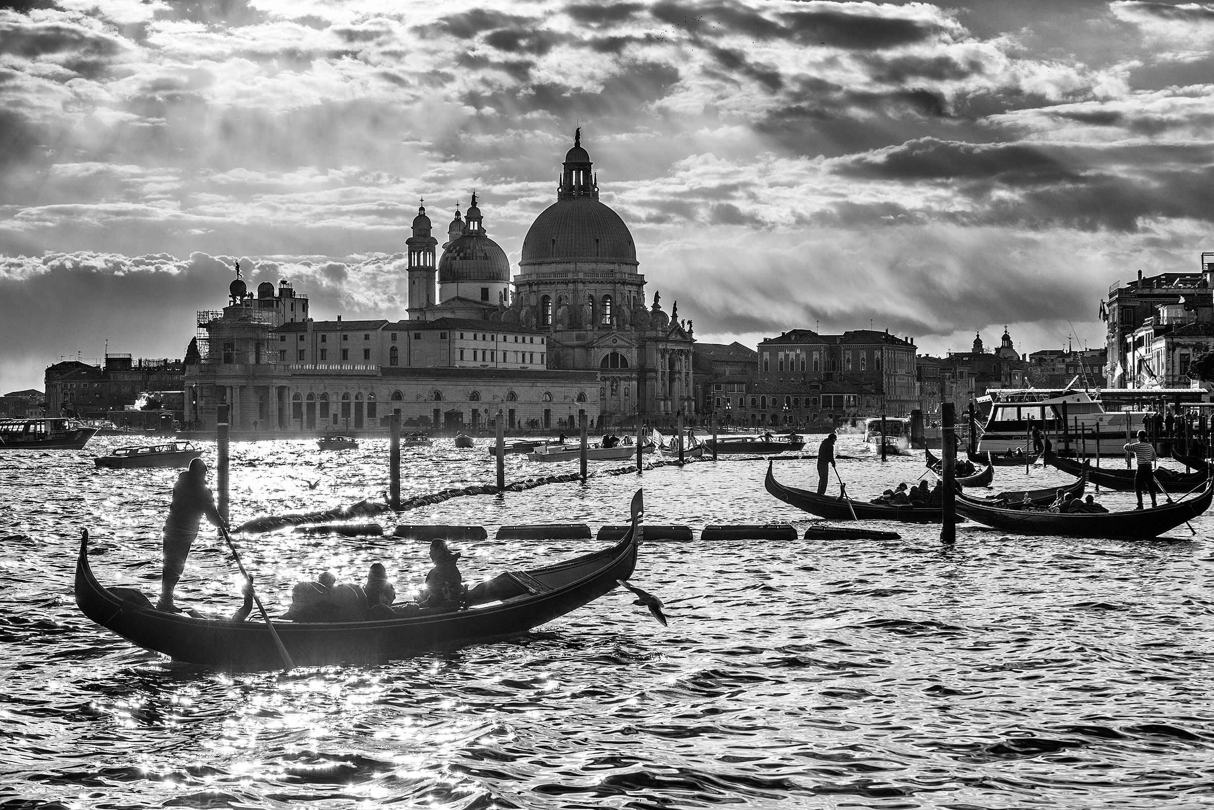 Traffic in Venice