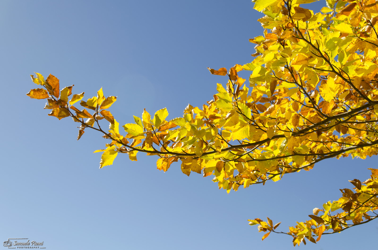 All the simplicity and warmth of autumn (and without or