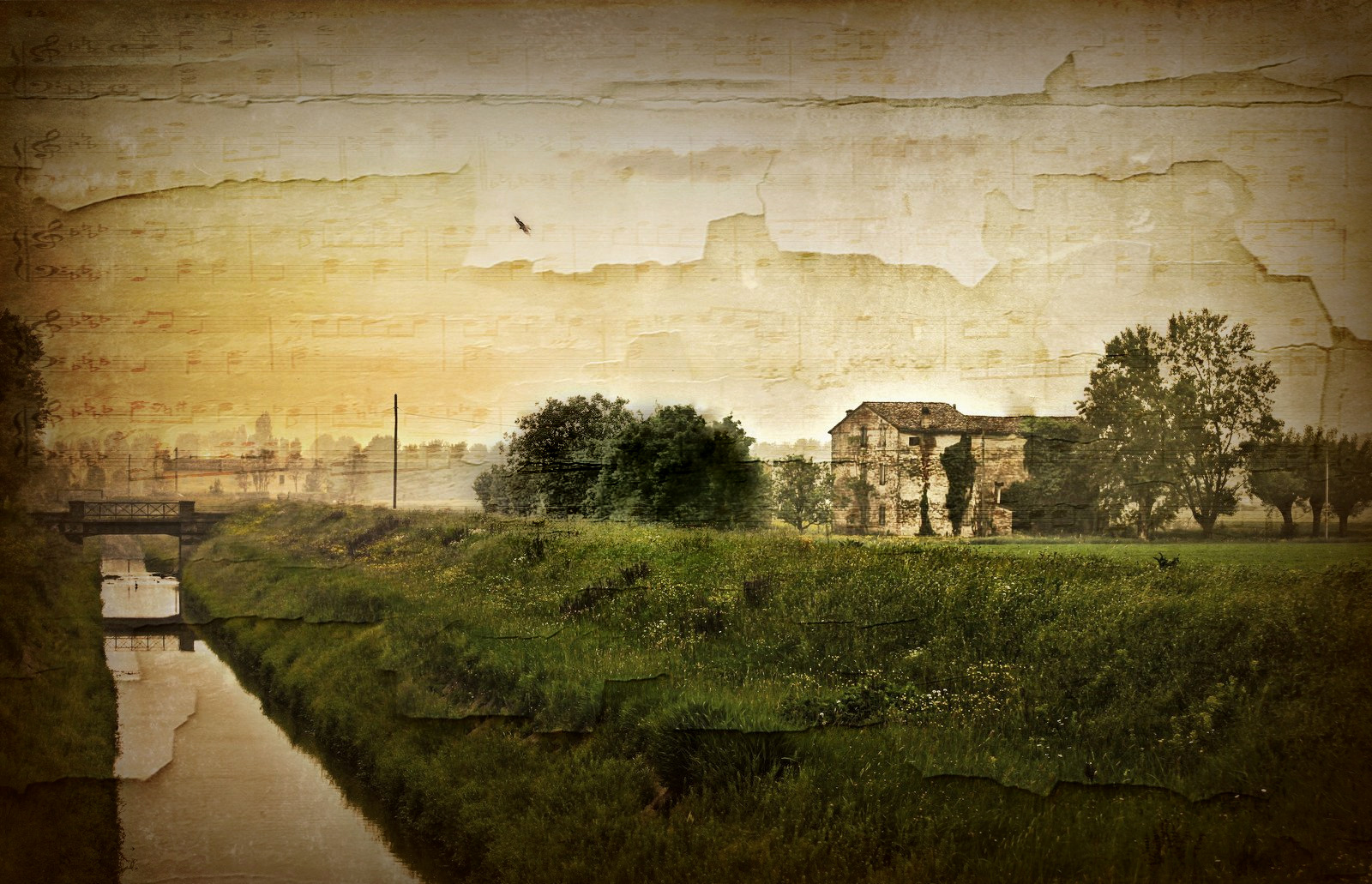 melody of autumn ...