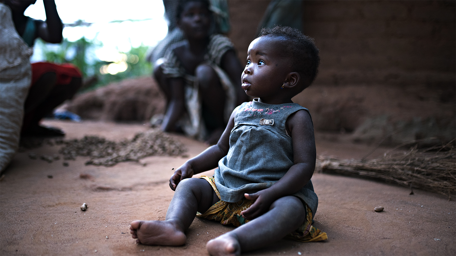Mozambico , villaggio rurale distretto Alto molocue