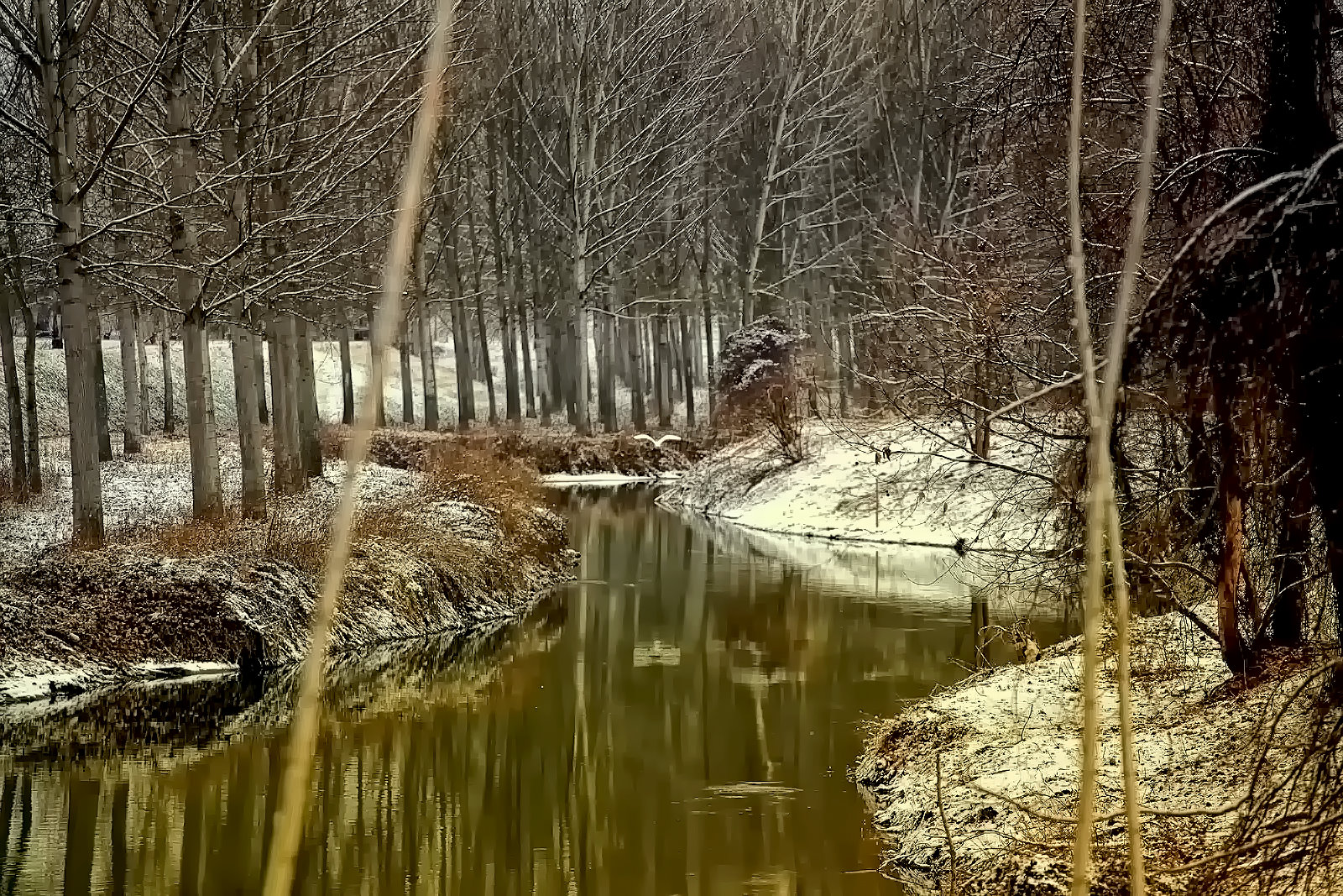 silence and white feathers