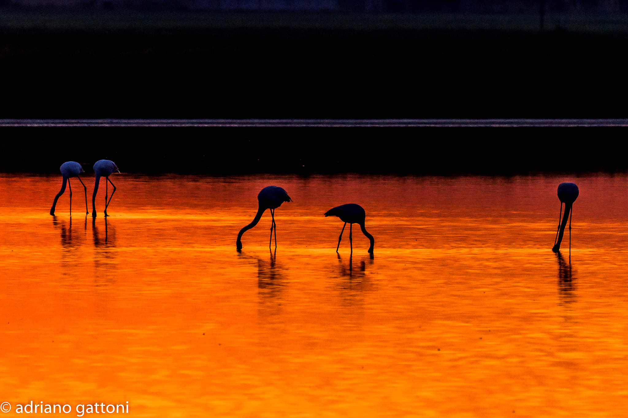 Atmosfere africane alle saline di Cervia