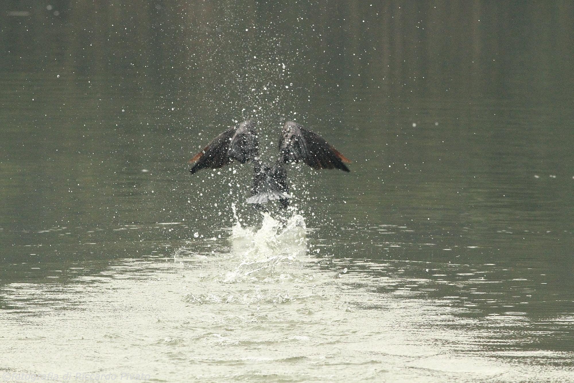 Canon 7D, Canon EF 400mm f/5.6 L