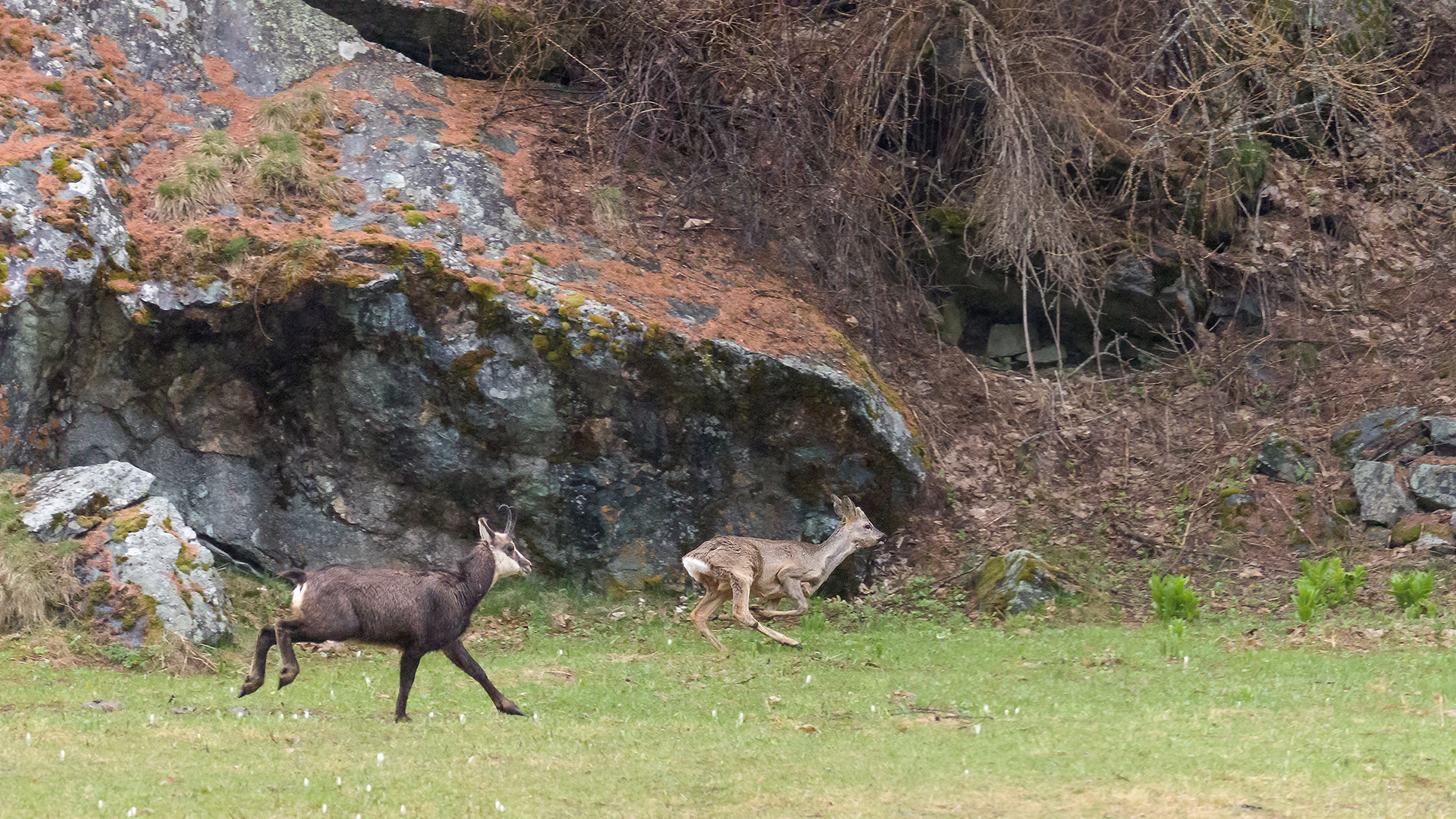 Shortly after sunset