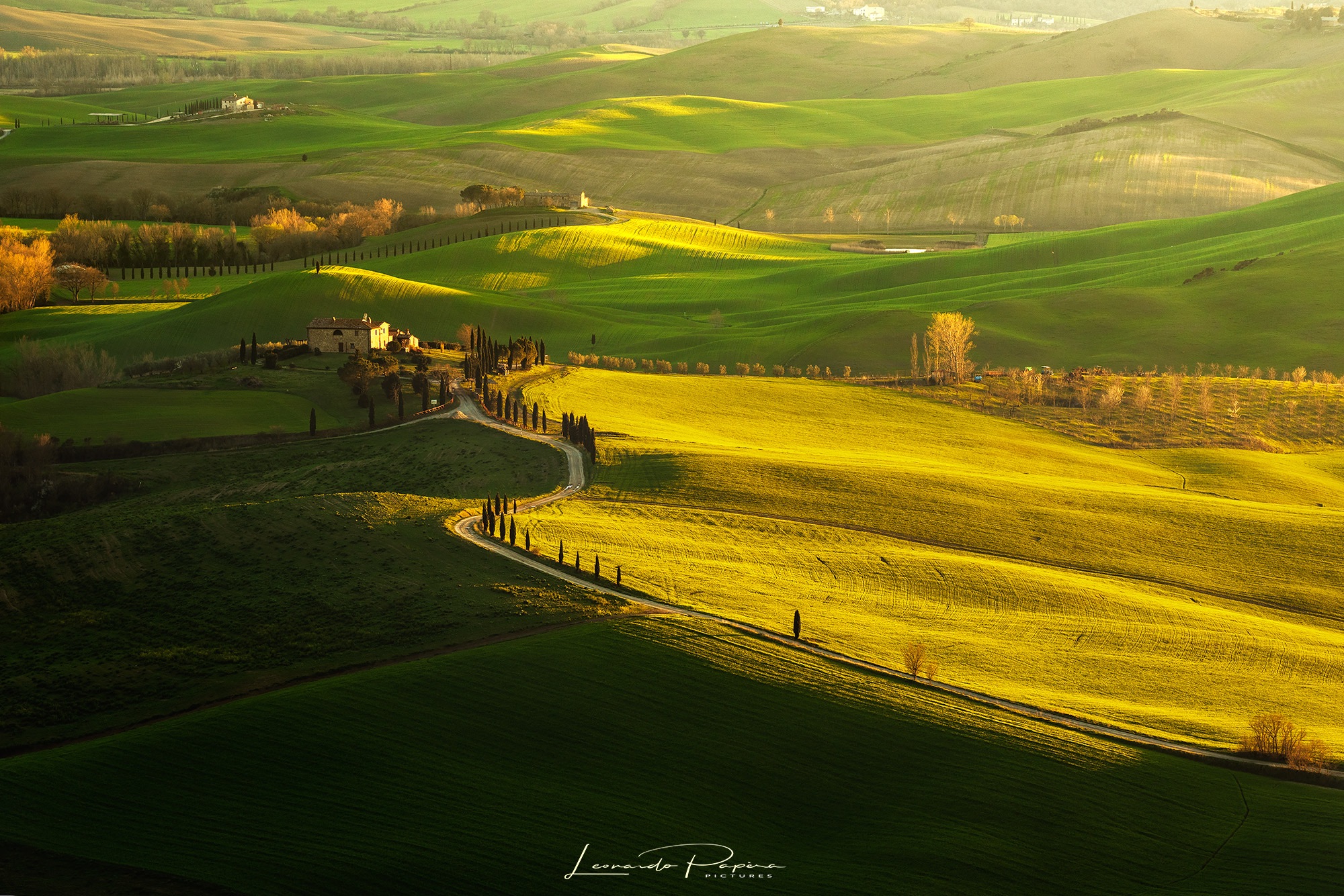 Walk on the Country Side