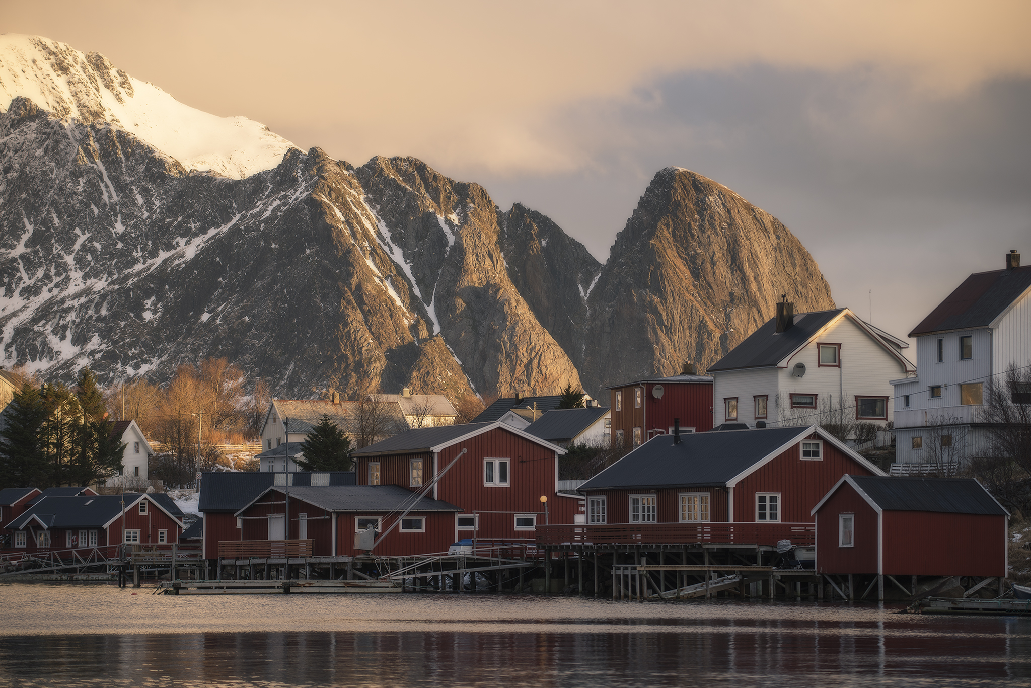Reine