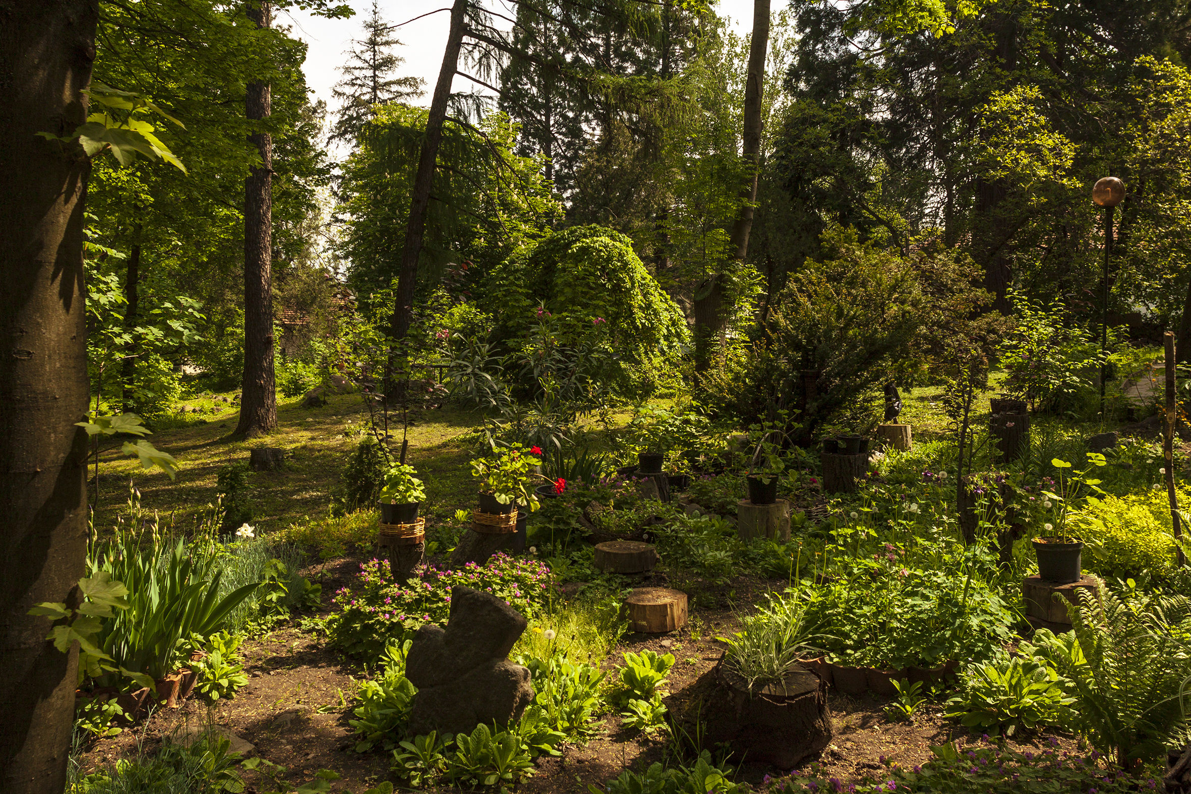 Park adjacent to the church of Bojana
