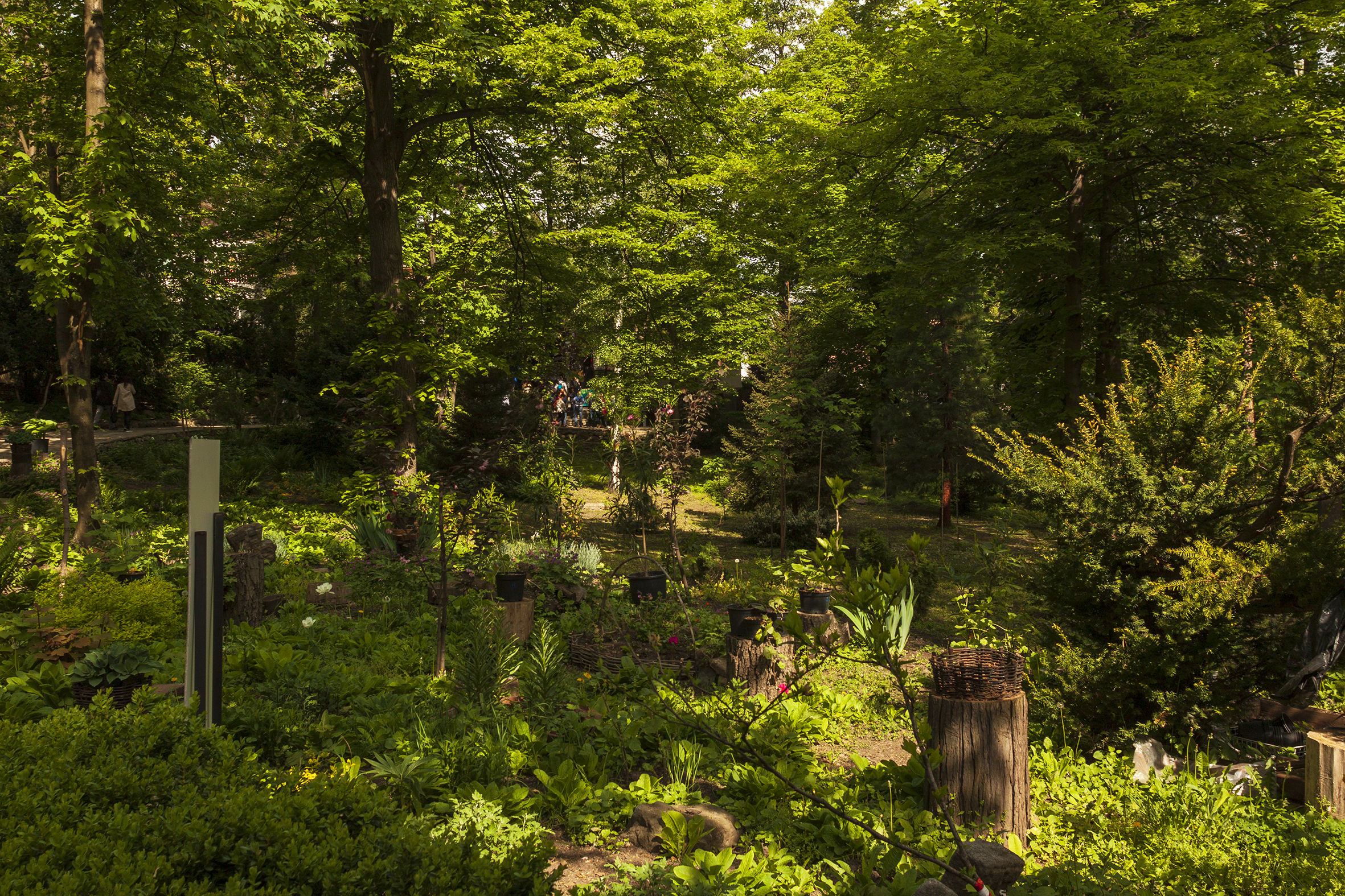 Park adjacent to the church of Bojana
