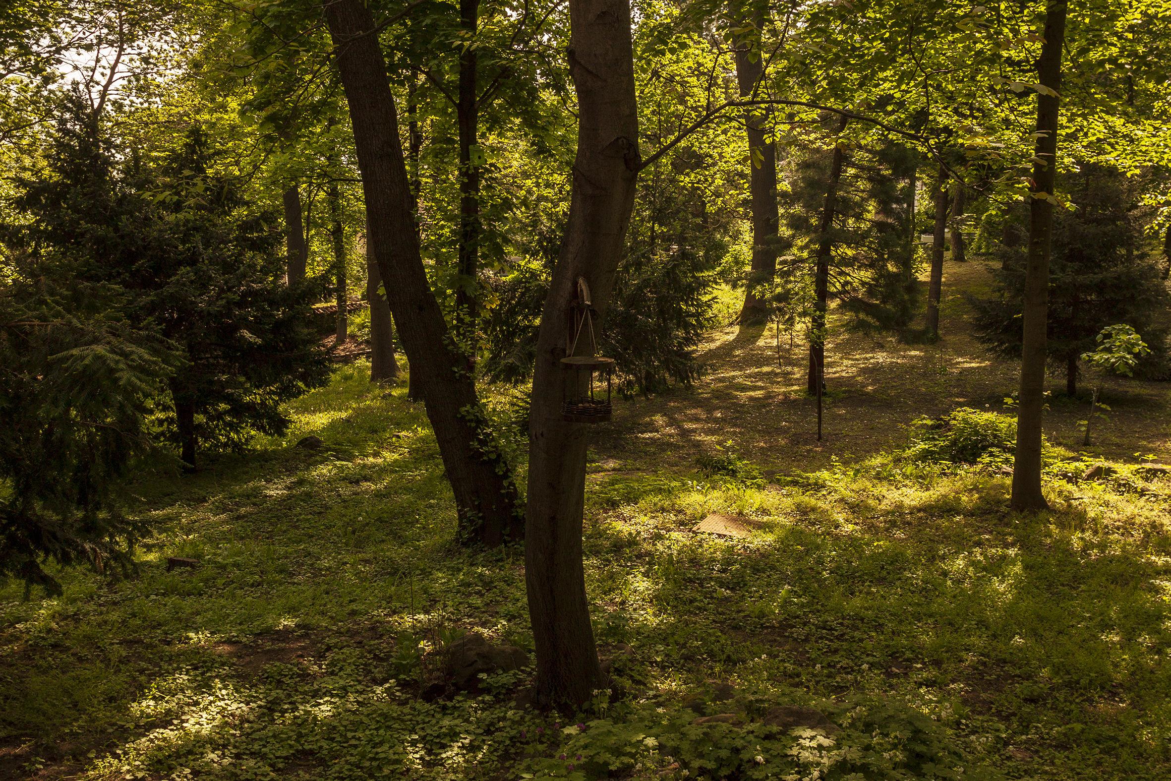 Park adjacent to the church of Bojana