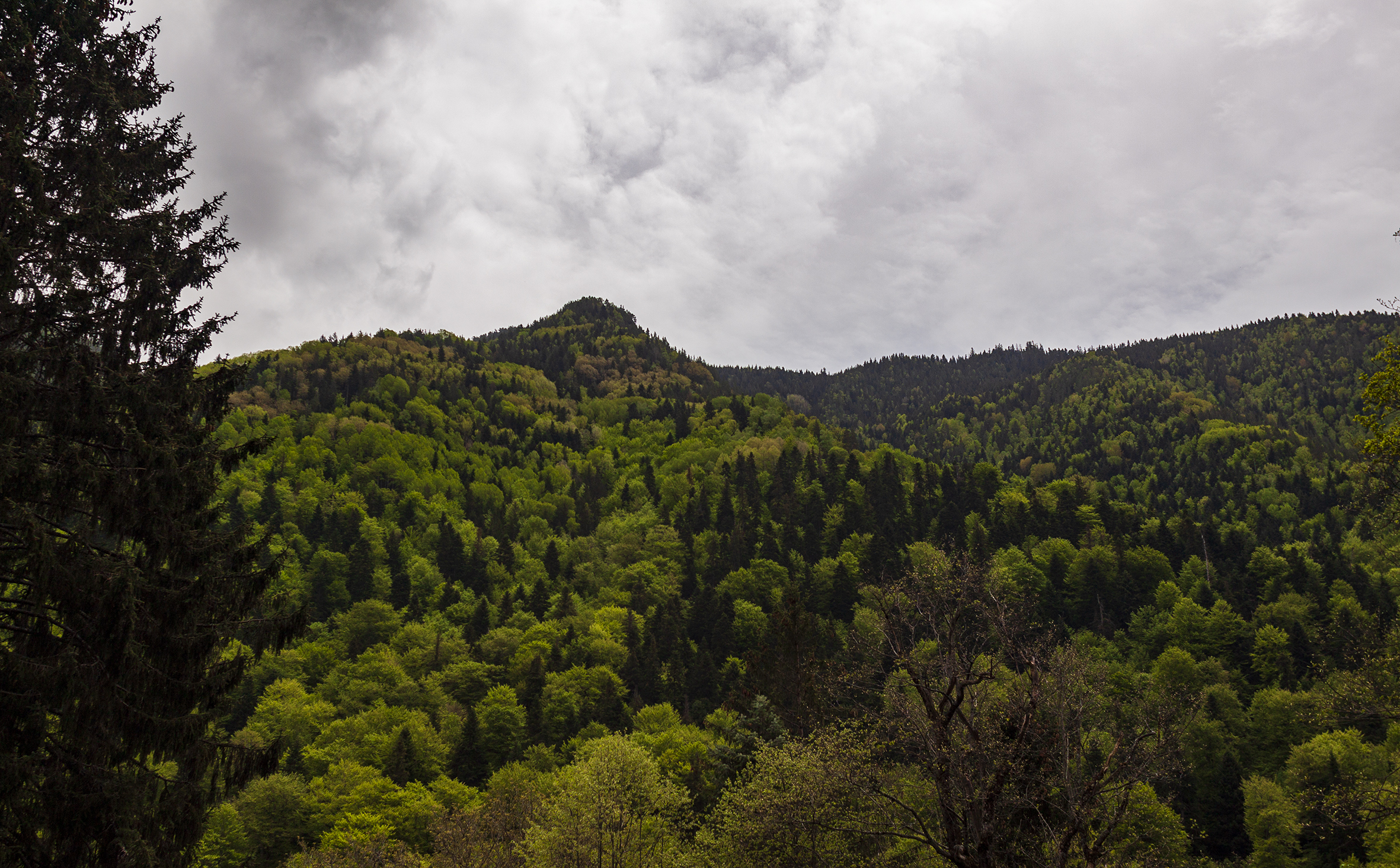 Surroundings Rila Monastery
