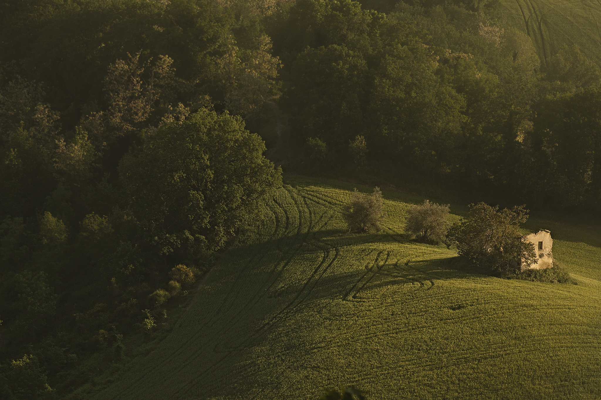 Le pennellate del contadino