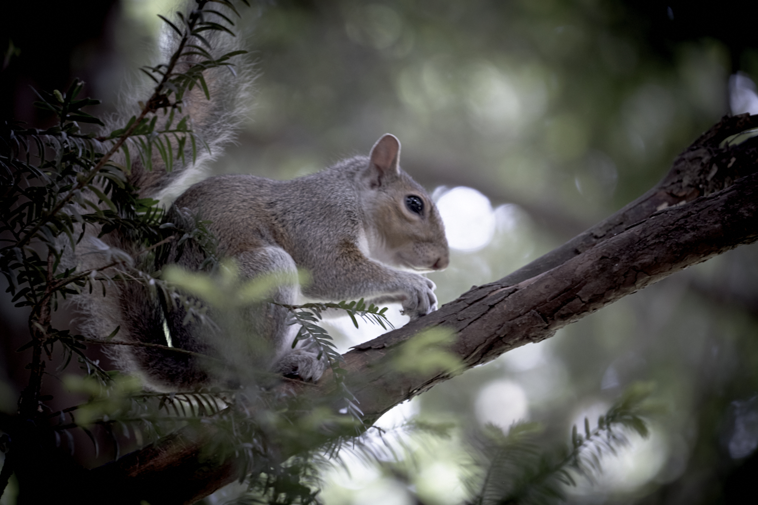 Laying between lights and shadows