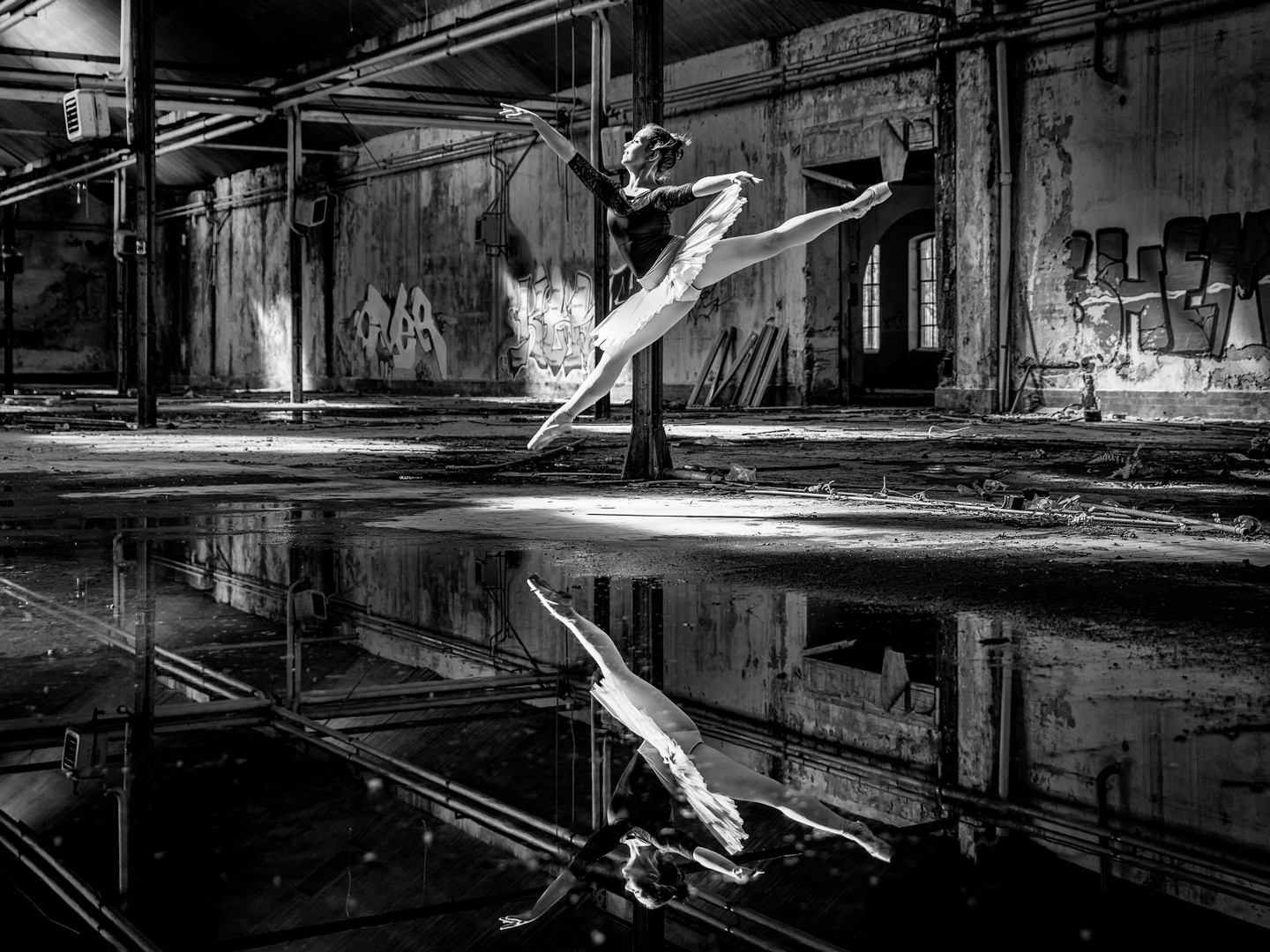 il magico mondo della danza