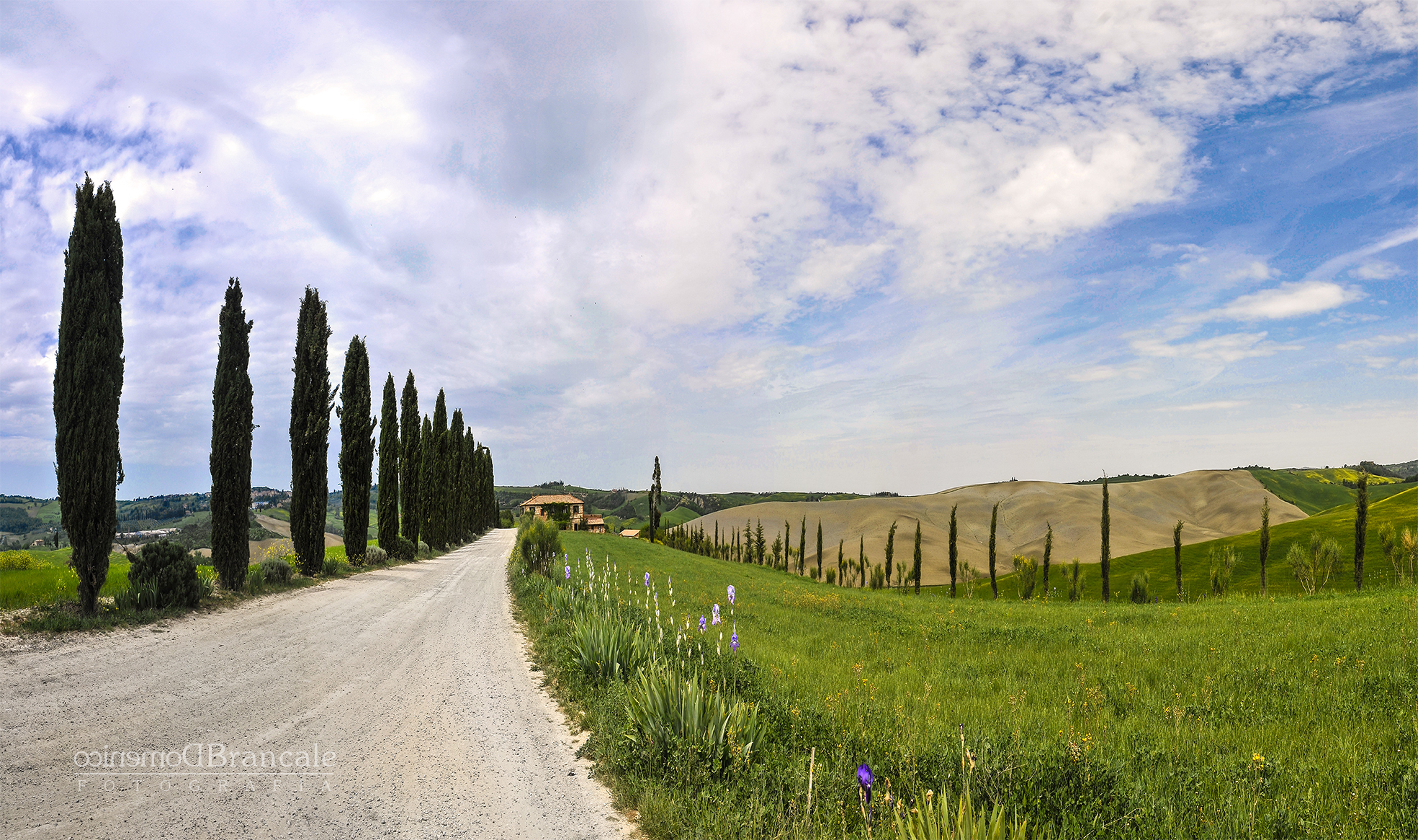 The road to the cart