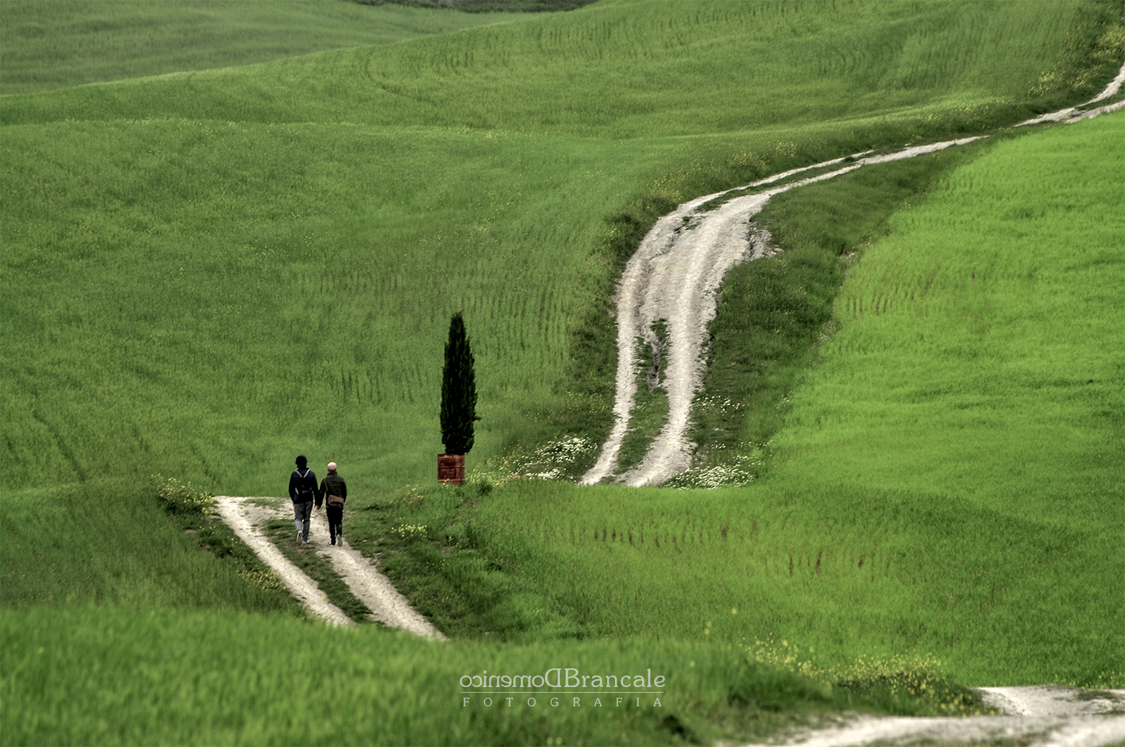 Love Without Borders